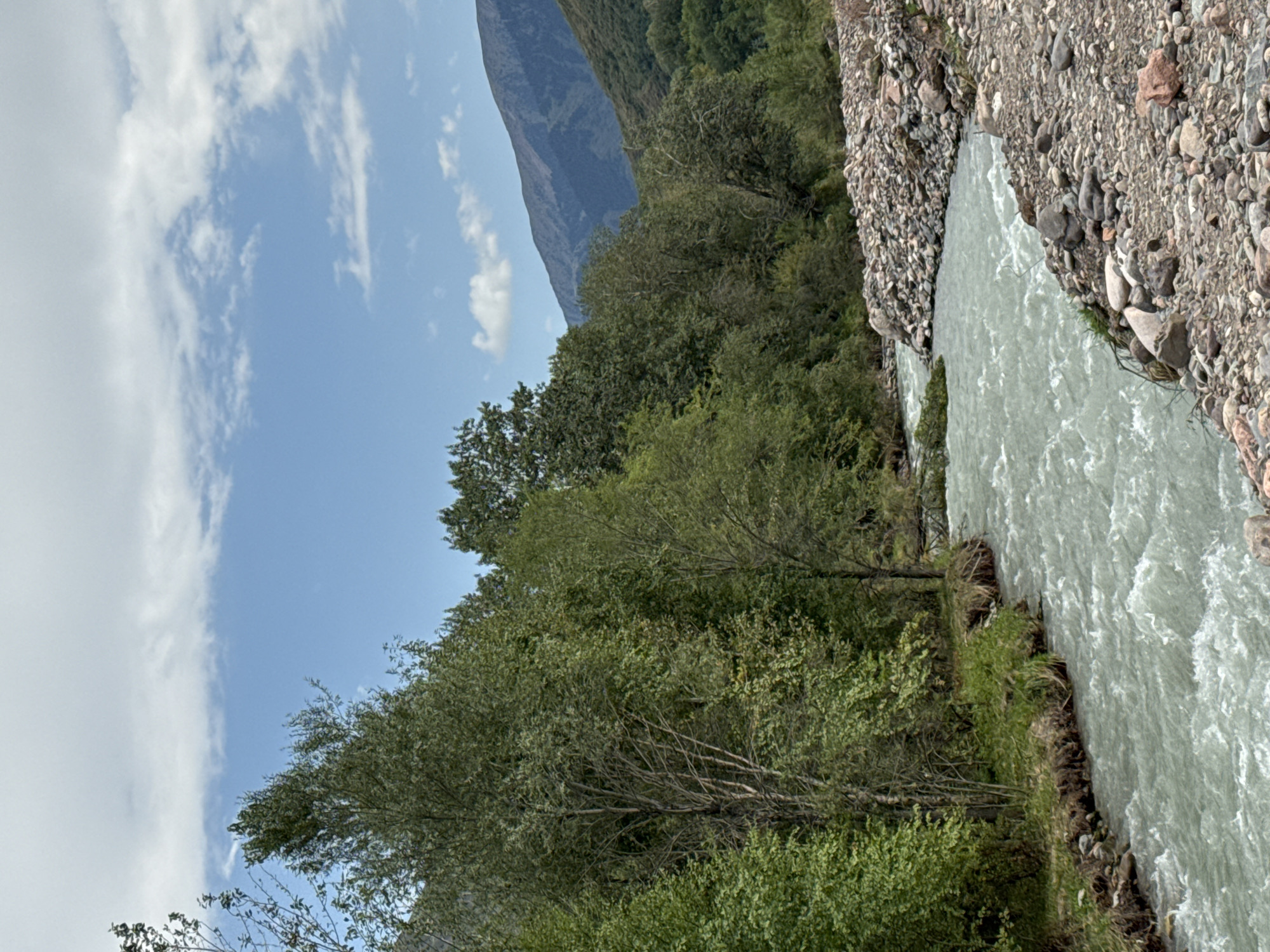 The image depicts a turbulent, light-colored river flowing through a rocky, forested gorge. Dense green trees line the left bank of the river, with some branches extending over the water. The right bank is composed of a steep incline covered in various-sized rocks and pebbles. In the background, a large mountain range with forested lower slopes and barren peaks dominates the horizon. The sky is partly cloudy with a mix of white and gray clouds against a blue backdrop. The overall scene conveys a sense of natural, rugged landscape. The location is identified as Leskhoz, Kazakhstan.