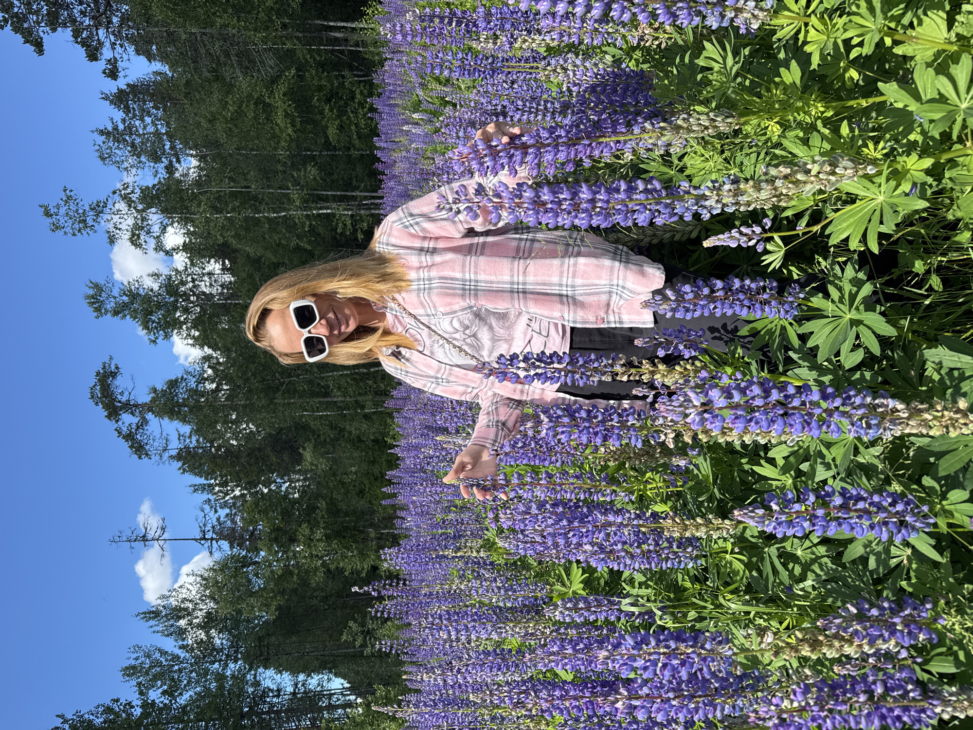 A woman with blonde hair and white-rimmed sunglasses stands in a field of purple lupine flowers. She is wearing a pink and white plaid shirt and black pants. The field is dense with lupine, and a forest of trees forms the background under a blue sky with white clouds. The woman is facing forward and smiling.