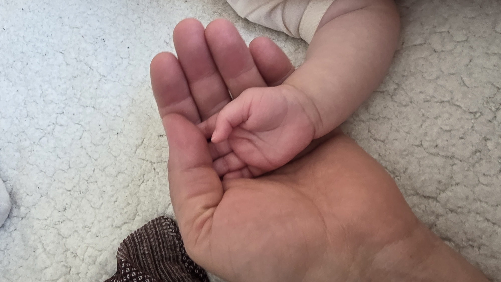 An adult hand holds a baby's hand on a textured, light-colored surface. Part of the baby's arm is visible, wearing a light-colored sleeve. A brown patterned fabric is partially visible in the lower left corner of the image. The setting or location in Blagoevgrad, Bulgaria, cannot be determined from the image.
