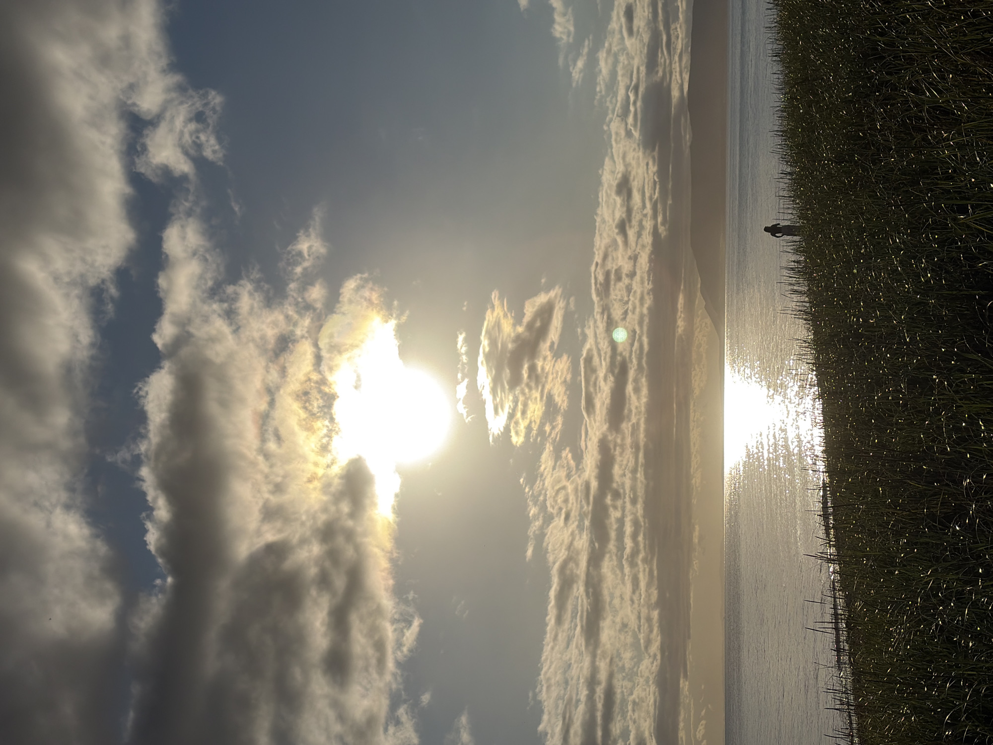 The image depicts a serene natural scene with a body of water, possibly a lake or sea, stretching towards a distant, hazy shoreline with hills. The sky is filled with a mix of dark and light clouds, with the sun shining brightly through a gap, casting a shimmering reflection on the water's surface. In the foreground, tall, green grass grows along the edge of the water. A lone figure, silhouetted against the bright sky and water, stands amidst the grass, facing towards the water. The overall impression is one of a peaceful, perhaps early morning or late afternoon setting.