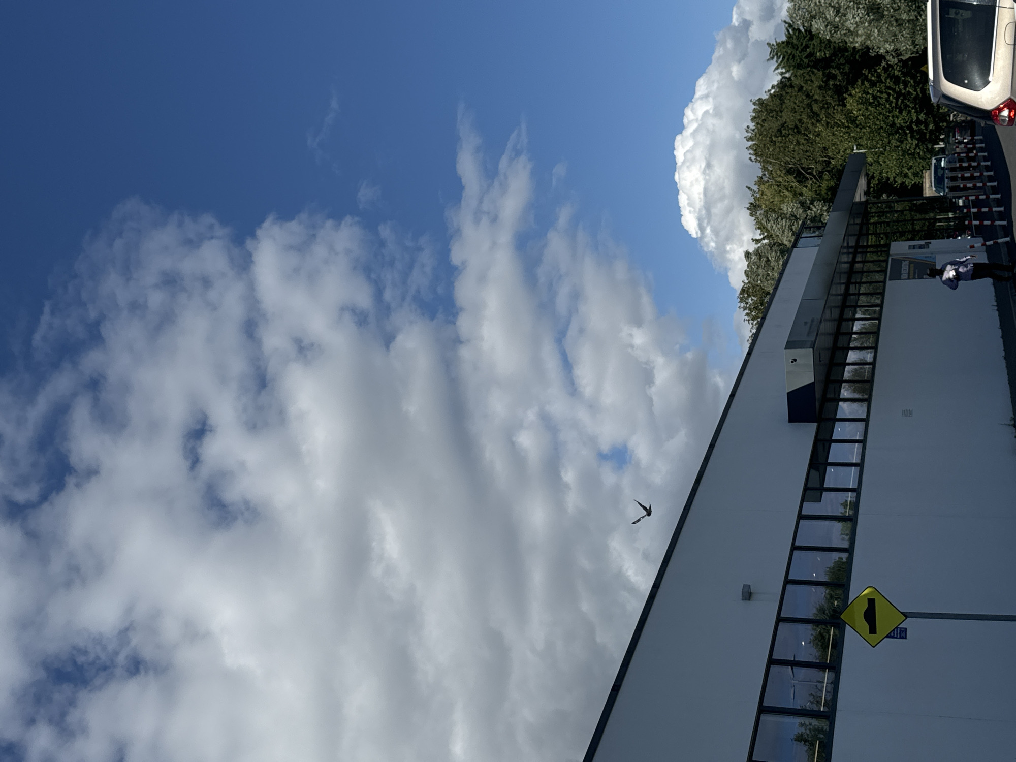 This is a vertical, eye-level, outdoor shot of a modern building with a white facade and a long horizontal window. Two birds are flying against a backdrop of blue sky and dramatic clouds. A yellow diamond-shaped sign with a black hump symbol is mounted on a pole in front of the building, indicating a speed bump. The building appears to be a commercial establishment. The scene suggests an urban or suburban environment. While a specific location in Waterford, Ireland is not evident from the image, the presence of a speed bump sign and a modern building are common in such areas.