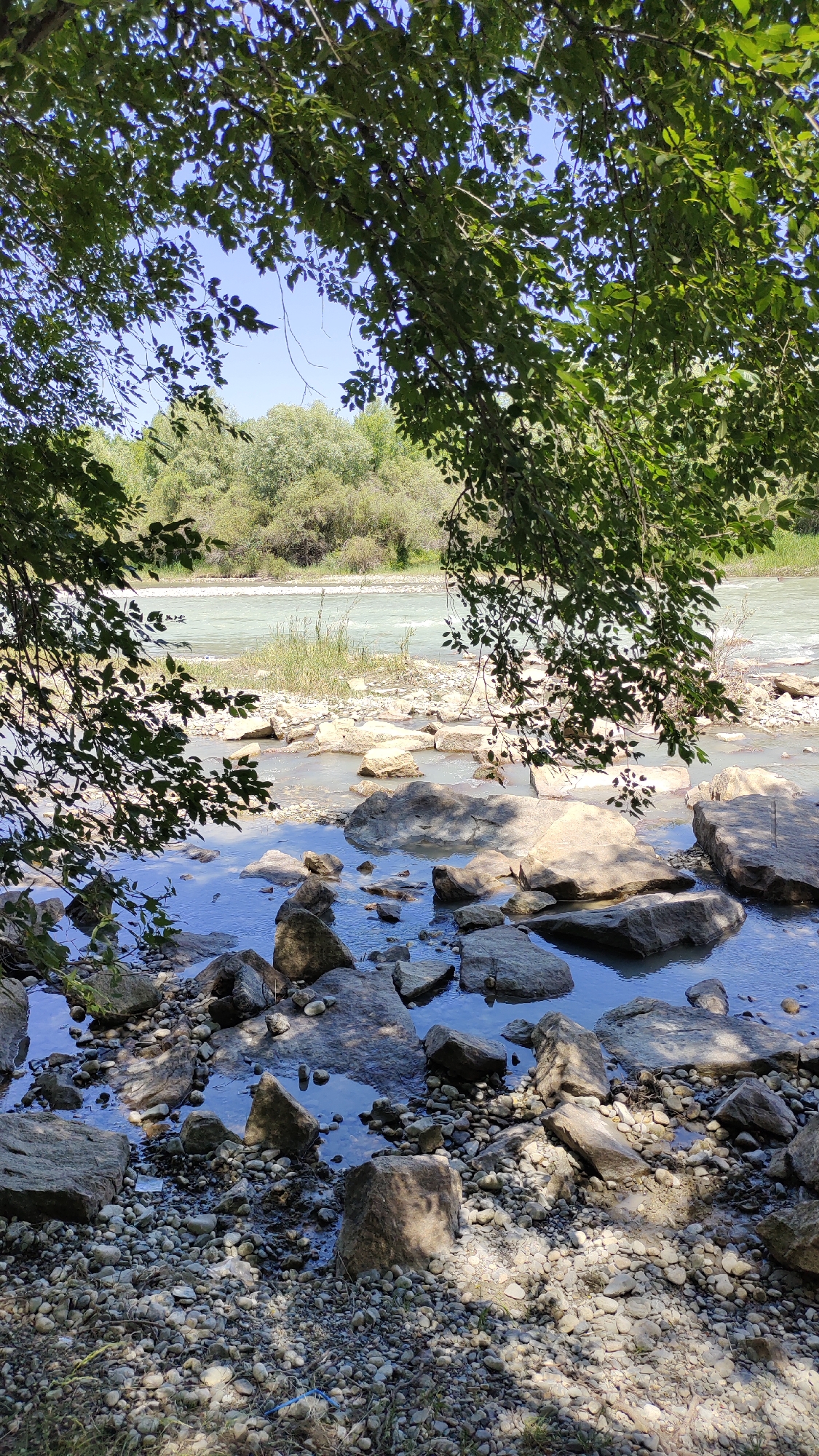 The image depicts a natural scene along a riverbank. In the foreground, a collection of smooth, grey and tan rocks of various sizes are partially submerged in shallow, clear blue water. The riverbed is composed of smaller pebbles and stones. Overhanging tree branches with lush green leaves frame the upper portion of the image, creating a dappled effect from the sunlight filtering through.
In the midground, a wider, shallow river flows. The water is a pale, turquoise color, and the riverbed is visible in many areas, showing more rocks and some sparse vegetation. The opposite bank of the river is lined with a dense, green forest, indicating a natural, undeveloped area. The sky is a clear, bright blue.
The overall scene is tranquil and untouched by human development. The presence of abundant natural elements like trees, rocks, and a flowing river suggests an outdoor environment. While the exact location in Taldykorgan, Kazakhstan, is not visually identifiable from the image itself, the scene is characteristic of riparian landscapes that can be found in and around the city, which is known for its natural beauty and proximity to mountainous regions. There are no people or man-made structures visible in the image.