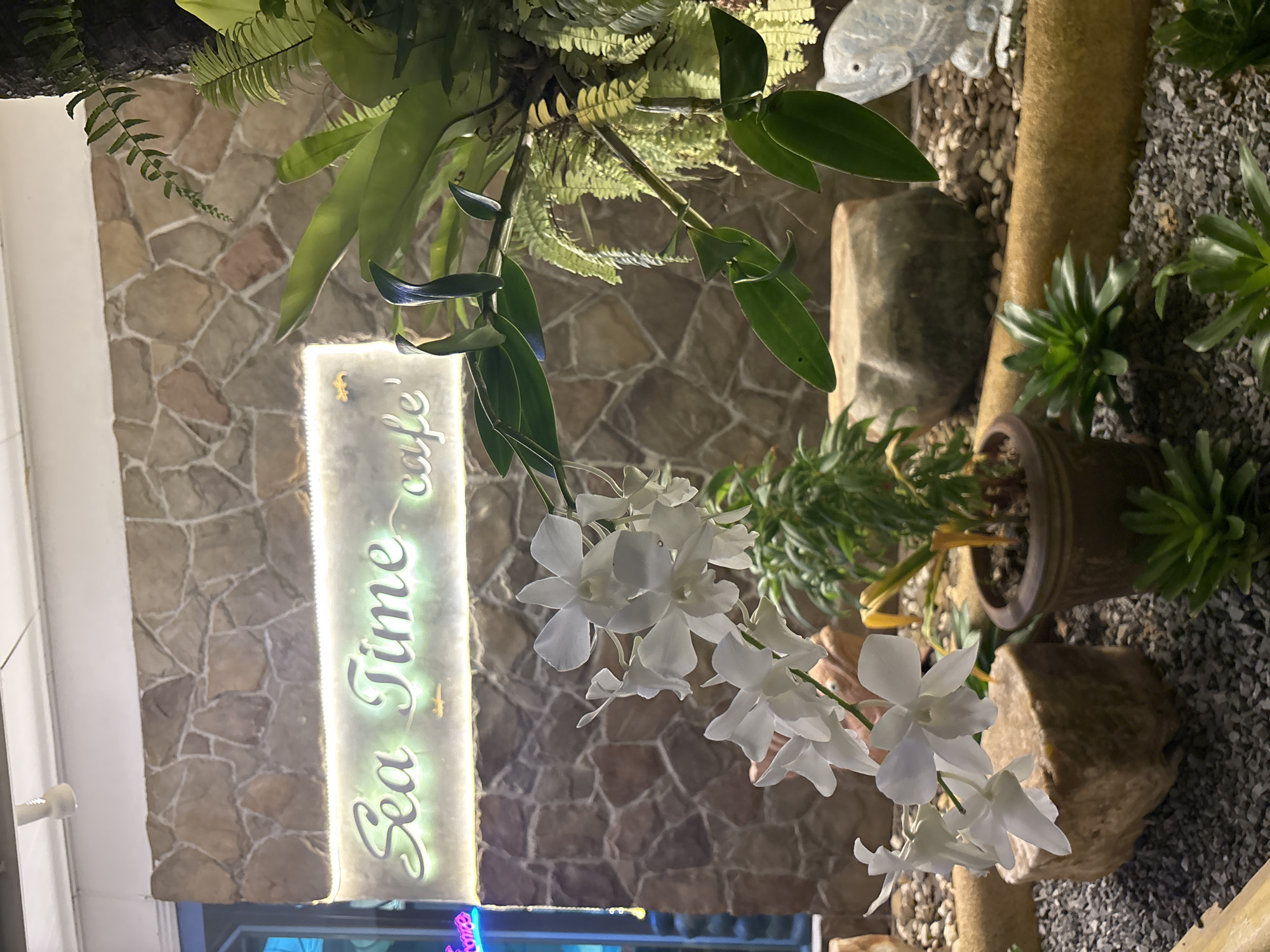 This image depicts the exterior of a cafe in Chalong, Thailand, identifiable by the illuminated sign that reads "Sea Time cafe". The sign is set against a wall constructed of irregularly shaped stones. In the foreground, a white orchid plant is prominently featured, with its delicate white blossoms cascading downwards. The ground is covered with small gray pebbles, interspersed with larger stones and potted plants. To the right, part of a lush fern is visible, attached to a tree trunk. A stone sculpture of a fish also rests on the pebbled ground. The lighting suggests it is evening or night. There are no people visible in the scene.