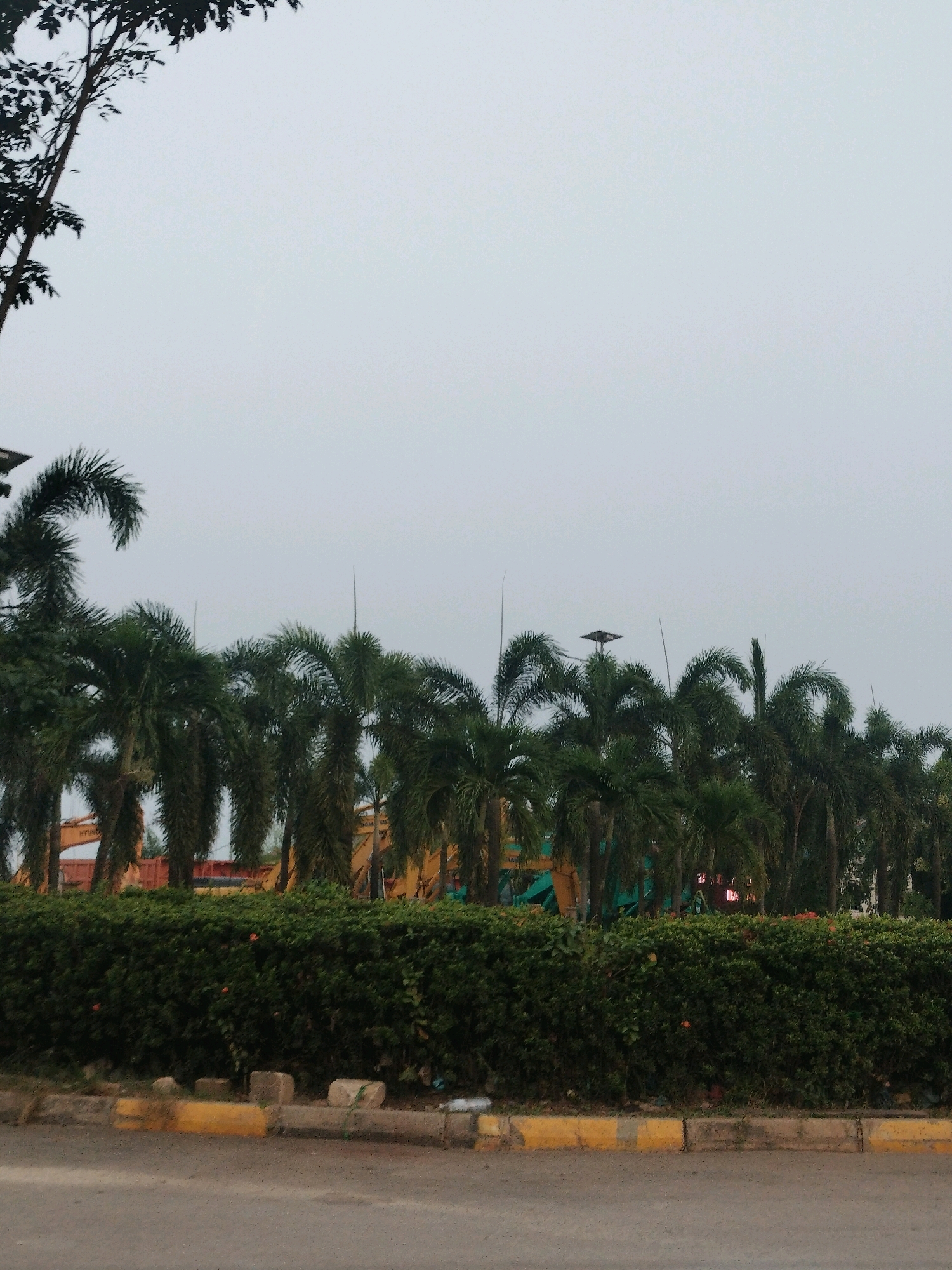 This image captures a row of palm trees lining a road in Batam, Indonesia, likely in an industrial or commercial zone due to the presence of construction equipment visible behind the trees. The sky is overcast, contributing to a muted color palette. The foreground shows a paved road with a yellow and grey curb, suggesting an urban or suburban setting. Behind the palm trees, a dense green hedge is visible, and further back, large yellow construction vehicles, possibly excavators or loaders, are parked. The overall scene suggests a construction site or a business area undergoing development or maintenance.