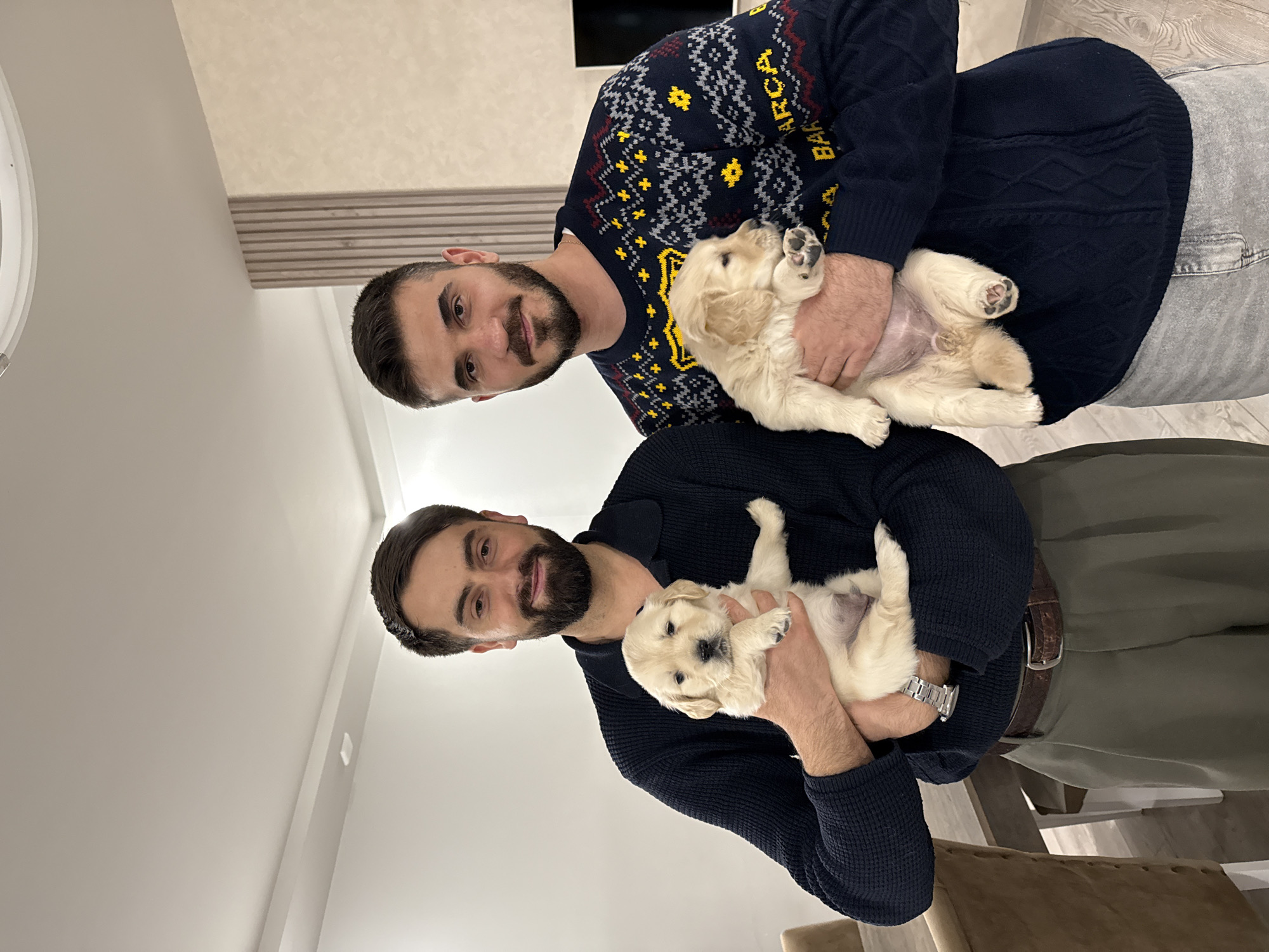 Two men are standing indoors, each holding a golden retriever puppy. The man on the upper left is wearing a navy blue sweater with yellow and white snowflake patterns and "BARCA" written on it. He is also wearing light gray jeans. The man on the lower right is wearing a navy blue sweater and olive green pants, with a brown belt and a silver watch on his left wrist. Both men have dark hair and beards. The background suggests a modern interior with light walls, including a wall partially covered with horizontally arranged narrow decorative planks. The location is a residential area, possibly in Yerevan, Armenia.