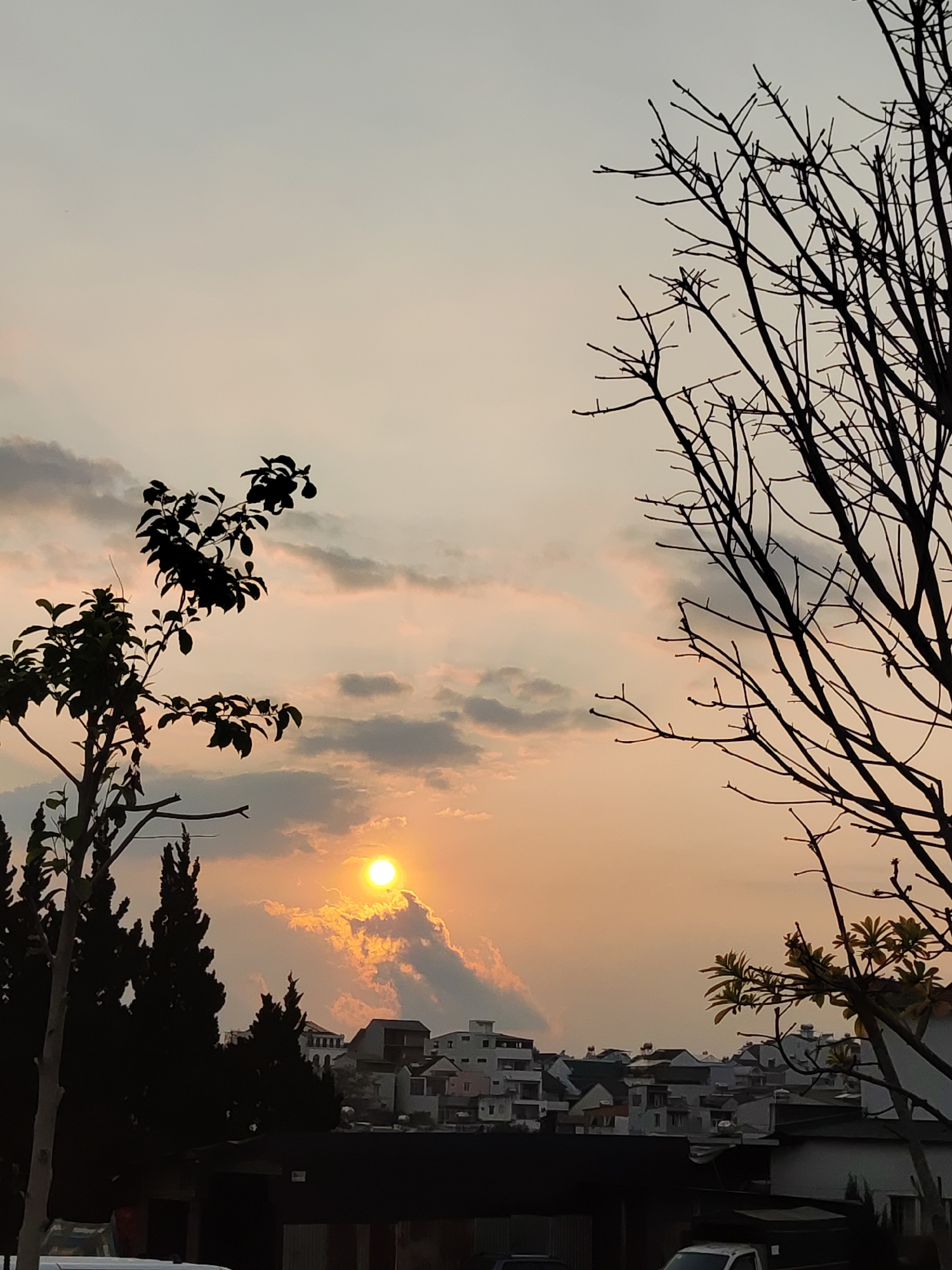 A scenic shot taken in Da Lat, Vietnam, features the sun setting amidst cloudy skies. In the foreground, trees are silhouetted; one with bare branches to the right and another with leaves to the left. Below the horizon, a cluster of low-rise buildings is visible against the skyline. The image suggests an urban setting near dusk.