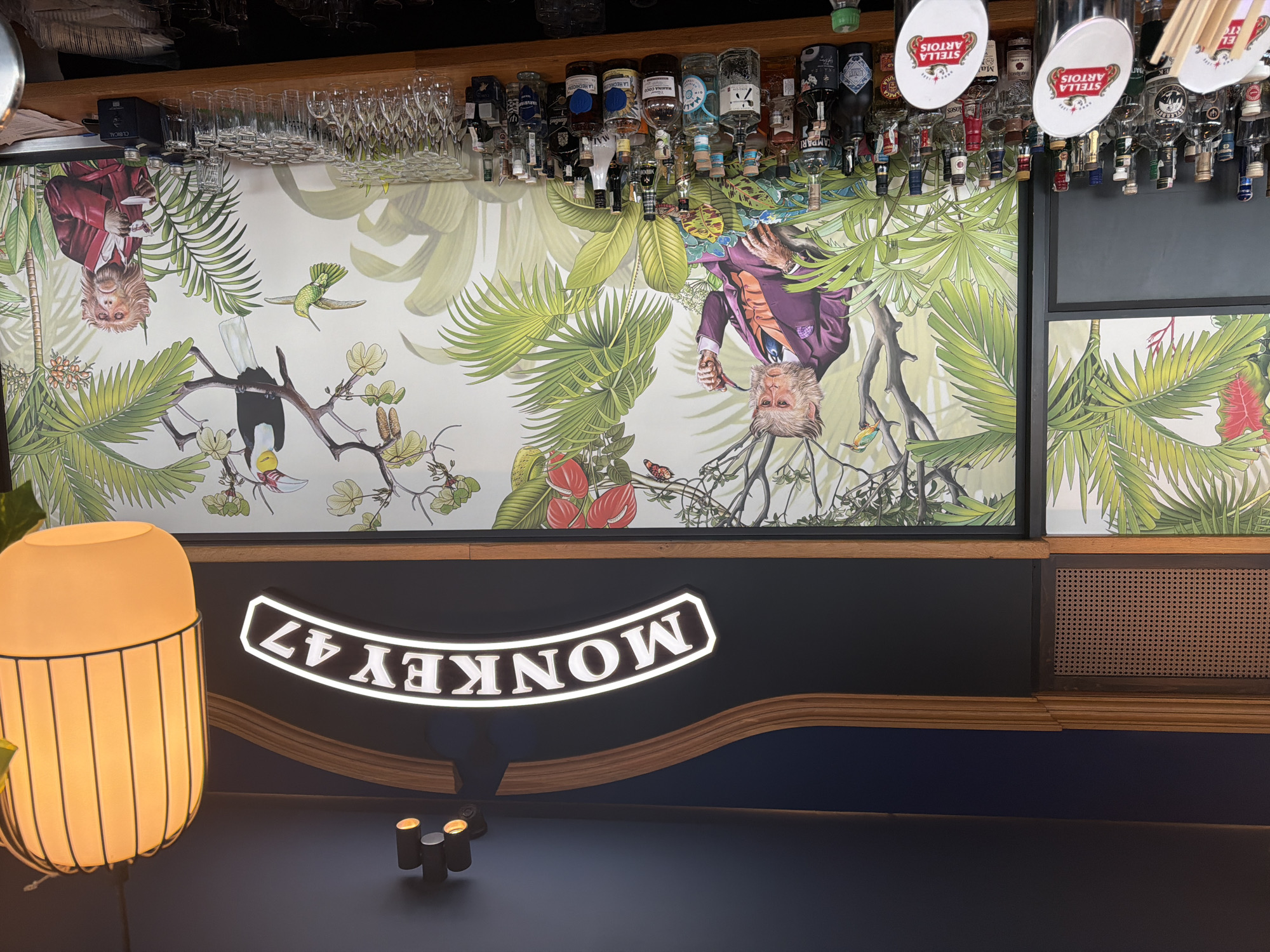 This media file presents an indoor scene of a bar or restaurant, rotated 90 degrees clockwise, causing most elements, including text, to appear upside down. The central visual feature is a vibrant, detailed mural or wallpaper depicting a lush tropical jungle. This artwork is filled with large green palm fronds, various other exotic foliage, colorful flowers, and fruits. Several animals inhabit the scene, notably two anthropomorphic monkeys dressed in suits: one on the left wears a red jacket and appears to hold a small object, while another on the right sports a purple suit, cravat, and holds a pipe. A toucan, a hummingbird, and several butterflies are also visible amidst the greenery.
Above the mural, a well-stocked bar shelf displays numerous bottles of alcohol, mostly inverted and fitted with pourers, indicative of an active bar setup. Stacks of clean, empty champagne flutes and other glassware are neatly arranged. Visible branding includes two prominent white, oval Stella Artois beer tap handles, along with a black dispenser partially branded "CIROC".
Below the mural, a dark-colored bar counter features a brightly illuminated sign spelling "MONKEY 47" in white letters with a black outline, also appearing upside down. The counter has a stylish curved wooden trim and a dark blue lower panel. On the far left of the counter, a modern table lamp with a warm, glowing light and a minimalist caged design adds to the ambiance. Two small, dark cylindrical lights with glowing tops are also placed on the counter. To the far right, a section of dark wooden paneling with a rattan or wicker insert is visible.
The scene portrays a sophisticated and whimsical atmosphere, characteristic of a stylish drinking establishment, likely in Varna, Bulgaria. No specific activity is captured, suggesting the bar is either set for service or recently closed.