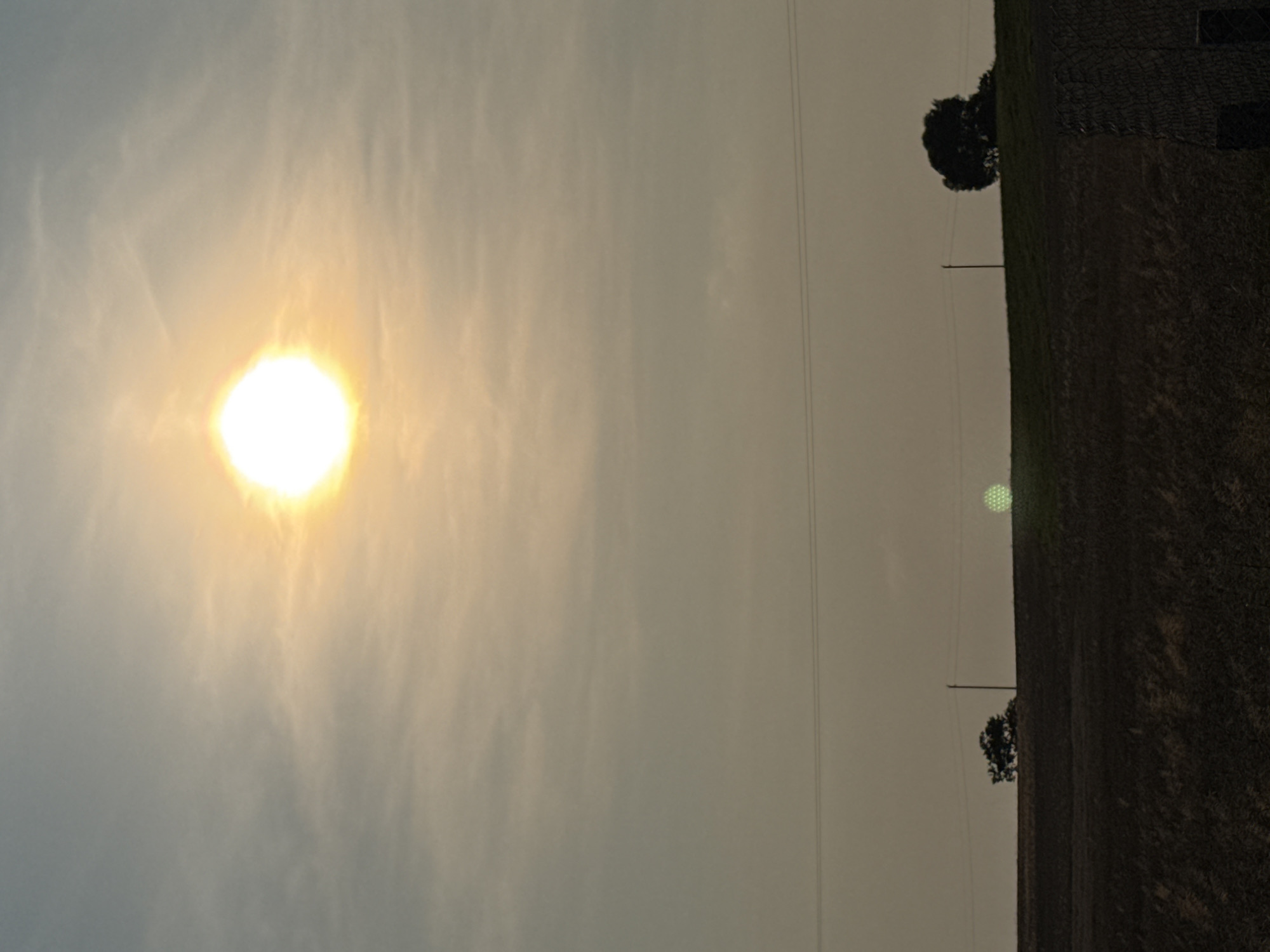 This is a horizontal, medium-shot photograph of a sunset over a rural landscape. The sun, a bright, white-yellow orb, is prominently positioned in the upper-center of the frame, radiating a soft glow through a thin layer of clouds. The sky transitions from a pale blue at the top to a hazy, yellowish-orange near the horizon.
In the middle ground, a flat, dark field stretches across the width of the image, delineated by a faint line of distant vegetation. A few silhouetted trees are scattered across this field, with one larger, more dense tree visible on the right side. Power lines stretch horizontally across the sky in the middle ground. The foreground is a darker, textured field, possibly of crops or dry grass. A partial view of a dark fence, possibly wire mesh, is visible in the lower right corner. The overall lighting is soft and diffused, characteristic of the golden hour. There are no people or animals visible in the image. The location is the outskirts of Vikraičiai, Lithuania.