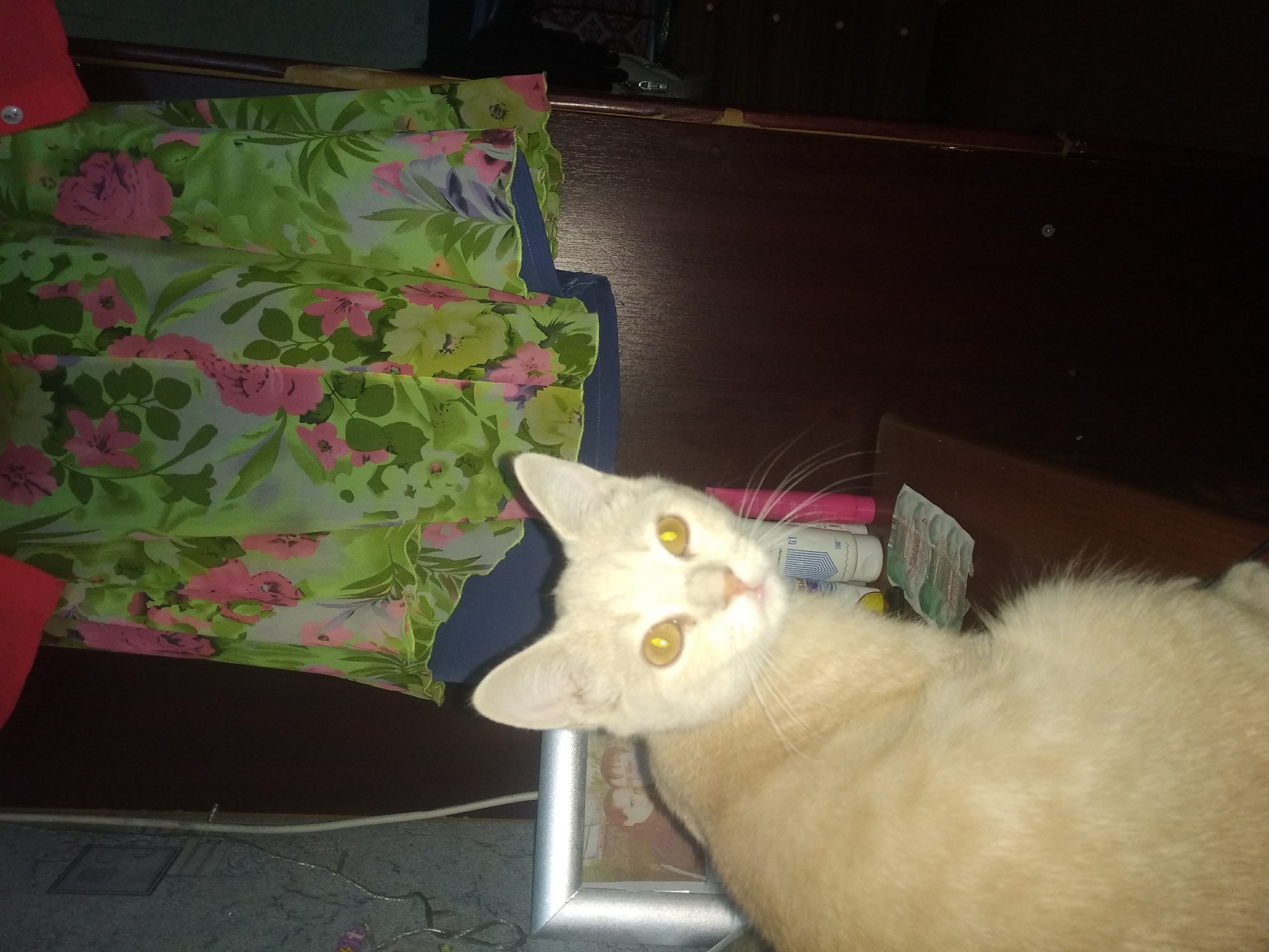 A pale orange cat with bright yellow eyes is sitting on a dark wooden surface. The cat is facing the camera, with its body angled slightly to the left. Behind the cat, a floral patterned fabric is hanging, featuring pink and green flowers. To the left of the cat, a silver picture frame is visible, containing a faded photograph of two people. The environment appears to be indoors, possibly a room in Tashkent, Uzbekistan, given the context.