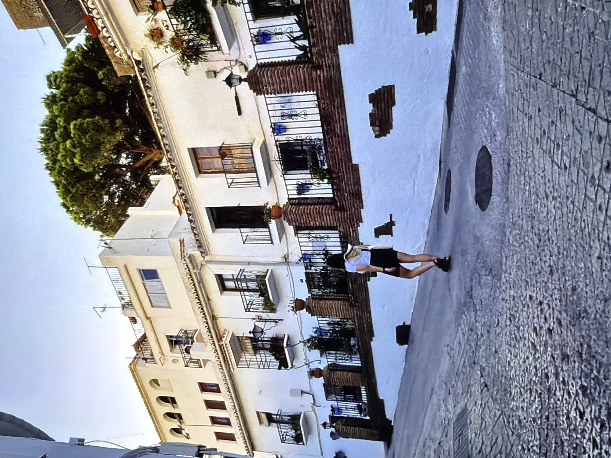 The media file shows a street scene with traditional European architecture. The buildings are whitewashed with dark trim and feature wrought-iron balconies adorned with plants and blue decorative elements. A large, lush green tree is visible on the left side of the frame, its branches reaching towards the sky. The street is paved with cobblestones, giving it a rustic feel.
In the foreground, a person wearing a white hat, black shorts, and a white top is walking down the street. Their back is to the camera, and they are facing away from the viewer. The person's posture suggests a relaxed pace. The lighting indicates it is daytime, possibly late afternoon given the warm tones on the buildings and the gentle shadows. The sky is a clear, light blue, suggesting fair weather.
The overall impression is one of a charming, picturesque European town, possibly in a Mediterranean region. The details of the architecture, such as the tiled roofs, arched windows, and decorative metalwork, contribute to this impression. The scene evokes a sense of tranquility and leisure. No visible text is present in the media file.