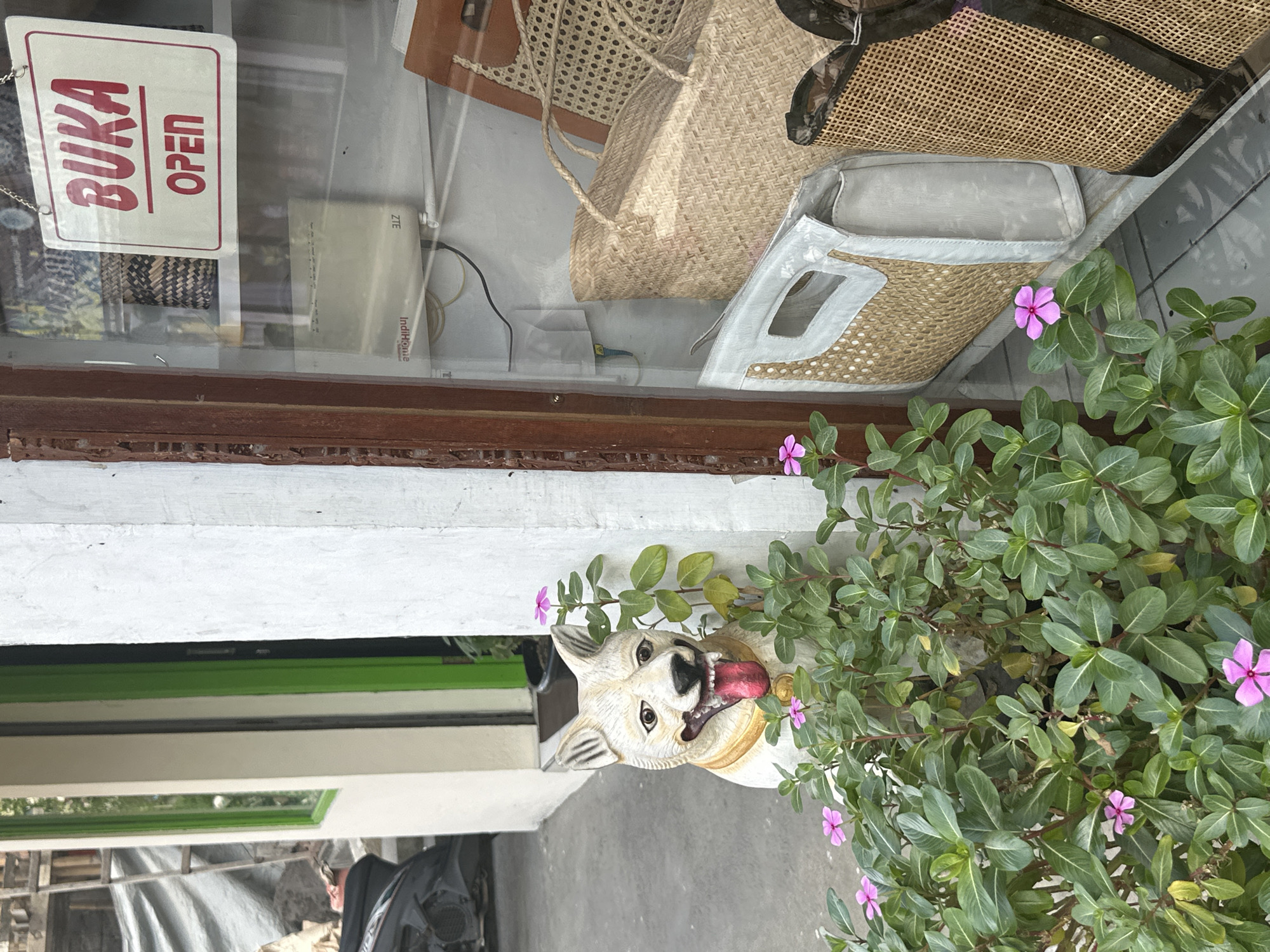 A white dog statue with a long red tongue and a gold collar stands near a doorway with a green-trimmed window. The statue is surrounded by lush green plants with small pink flowers. To the right of the statue, through a glass window, is a shop display. A red and white sign on the window reads "BUKA OPEN". Inside the shop, several woven bags are visible. One is a large, light brown woven bag with rope handles. Next to it is a lighter colored bag with woven sections and a gray fabric top. Further to the right is another woven bag with darker brown accents. Behind the bags, a white router labeled "IndiHome" and "ZTE" is visible. The environment appears to be an outdoor storefront in Ubud District, Indonesia.