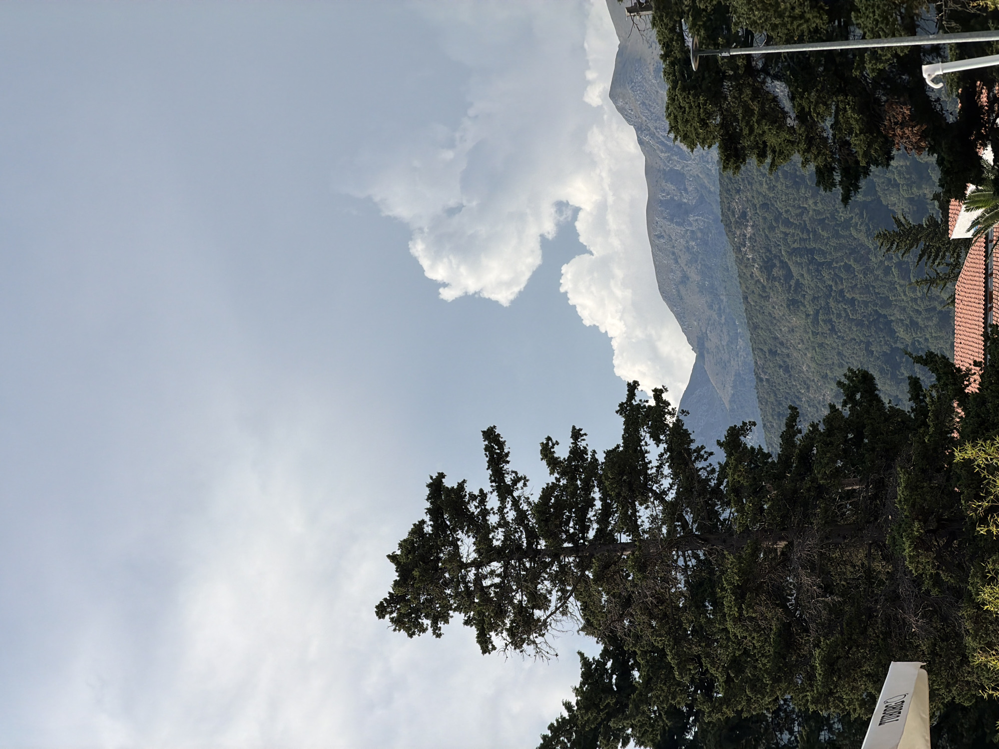 The image displays a landscape scene with a prominent evergreen tree in the foreground, partially obscuring the view of rolling, tree-covered hills and a mountain range in the background. The sky is partly cloudy, with large, white cumulus clouds dominating the upper portion of the frame. A white umbrella with the logo "TUBORG" is visible in the lower left corner. To the right, a tall lamp post stands adjacent to another evergreen tree. In the lower portion of the image, the terracotta tiled roof of a building is visible. The scene appears to be a view from Budva, Montenegro.