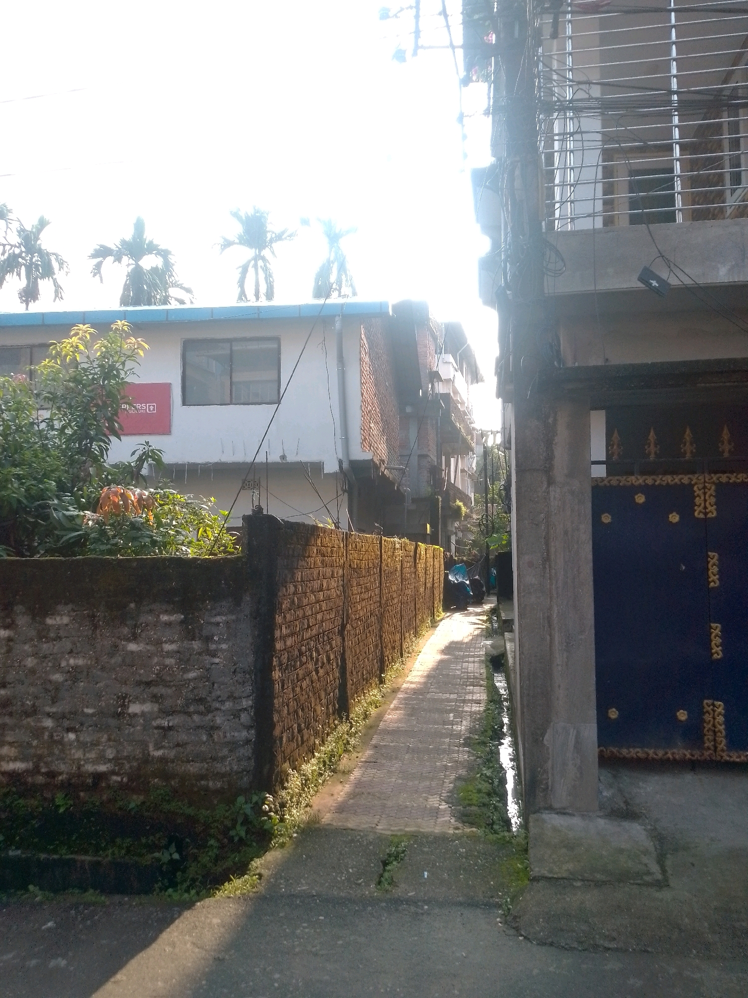 The image depicts a narrow, sun-drenched alleyway in Siliguri, India, likely during daylight. The alley is flanked by brick walls and buildings. On the left, a low, moss-covered brick wall runs along the edge of the alley, with a white building visible behind it. This building has a red sign with white text that appears to say "PIPERS". Trees with large leaves are growing near this building. The alley itself is paved with interlocking bricks and has a drainage ditch running alongside it. On the right side of the alley, a tall, grey concrete pillar stands next to a dark blue gate with ornate gold detailing. Beyond the gate, a building with metal railings and several electrical wires is visible. The sky is bright and overcast, suggesting either early morning or late afternoon sun. No people are clearly visible in the scene.