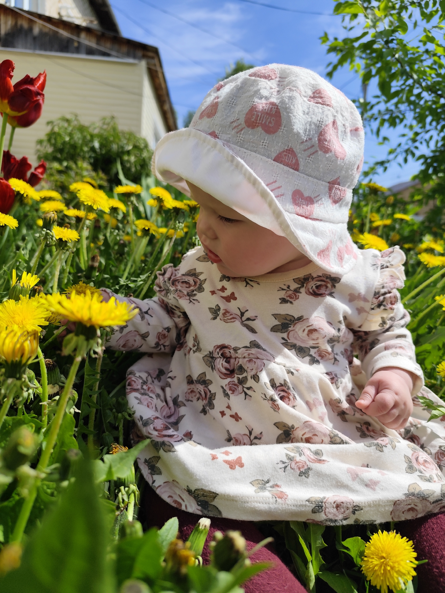 A baby girl wearing a floral dress and a white sun hat with pink hearts sits among yellow dandelions and red tulips. A building with light-colored siding is visible in the background under a blue sky with scattered clouds. The location is Фоки, Russia. The baby is reaching towards a dandelion.