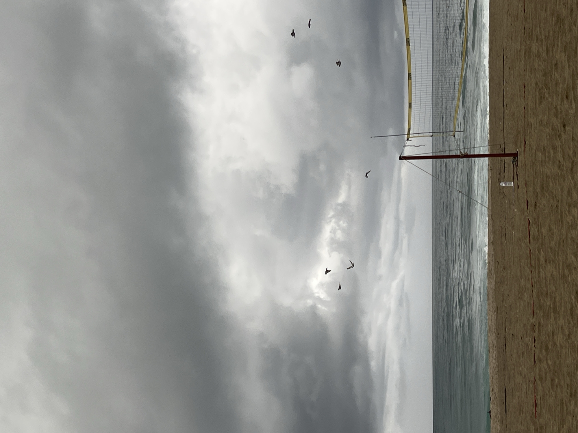 The image shows a beach volleyball court on a cloudy day. The sand is brown, and the sea is visible in the background. A volleyball net is set up. Several birds are flying in the sky. The location is likely in Alanya, Turkey, given the request. The picture provides no evidence of people engaged in any interactions. A water bottle sits by the volleyball pole.