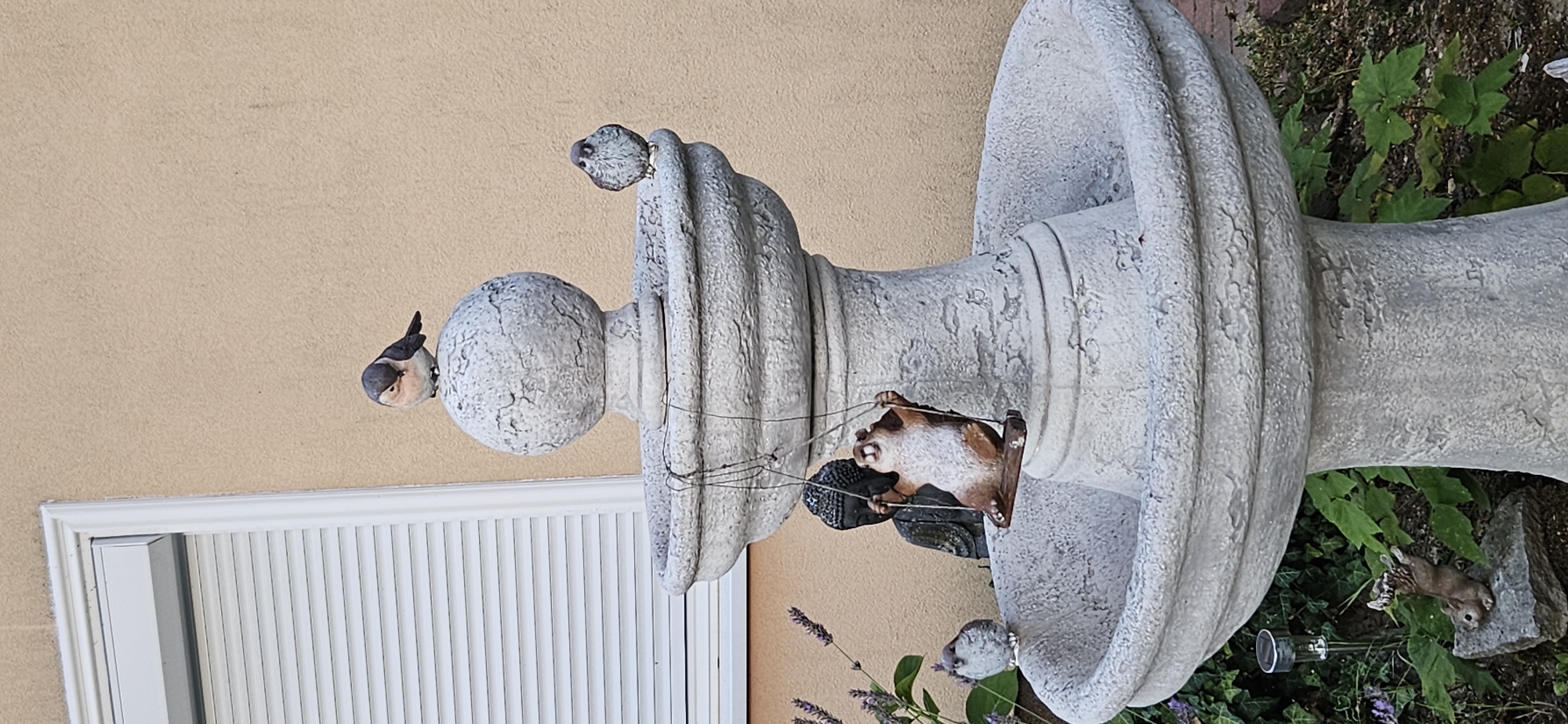 The image shows a tiered, stone-like garden fountain with a weathered texture. On top of the fountain is a decorative bird figurine, with its head tilted down. To the right, on the edge of the second tier of the fountain, sits another smaller bird figurine. Hanging from the second tier by string is a decorative figurine of a brown and white rodent-like creature on a swing. Behind the swing, a dark figurine of the Buddha's head is visible. To the left of the fountain, a small bird figurine is perched on the edge of the lower basin. At the bottom left of the image, a small decorative squirrel figurine is positioned on a rock among some green plants and a solar-powered garden light. The fountain is set against a textured, pale orange wall, with a closed white window blind visible in the upper left quadrant. The image appears to be taken outdoors, in a garden setting. The location is Hévíz, Hungary.