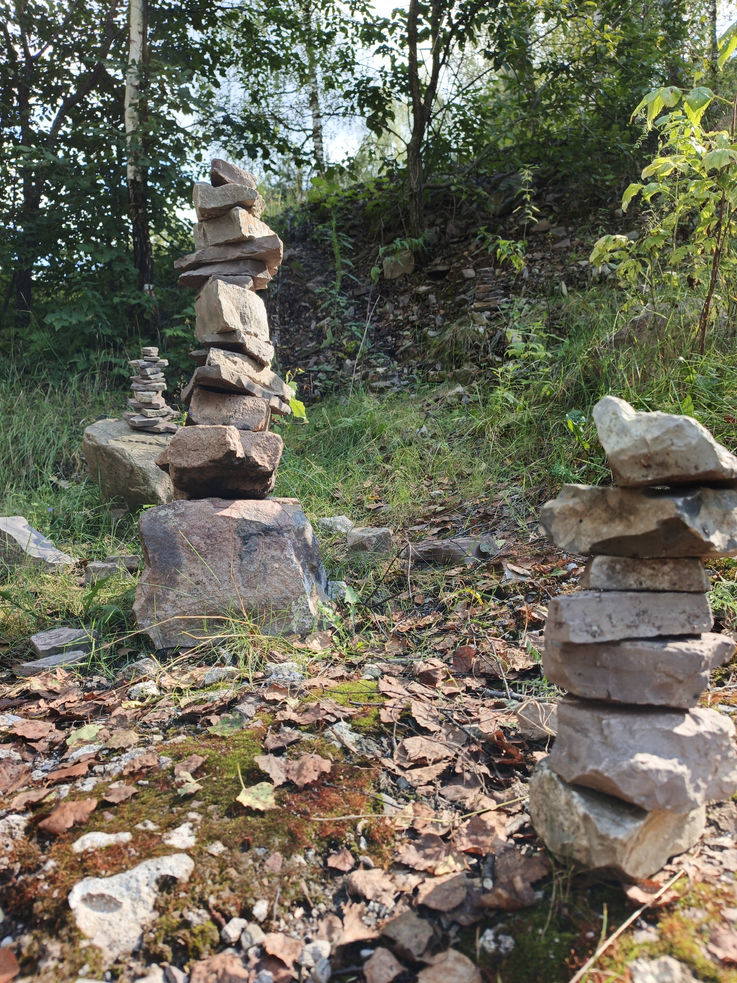 The image depicts a forest floor in Porogi, Russia, featuring several cairns, which are man-made stacks of stones. The cairns are composed of various flat, light-colored rocks. In the foreground, a large cairn stands prominently, built on top of a larger reddish-brown boulder. To the left and further back, a smaller, more slender cairn is visible, also constructed from flat stones, resting on a grey boulder. The ground is covered with fallen leaves, moss, and smaller stones. Green grass and various plants grow around the cairns, with trees and dense foliage forming the background. The lighting suggests a daytime scene with sunlight filtering through the trees. There are no people or animals present in the image. The environment appears natural and somewhat wild.