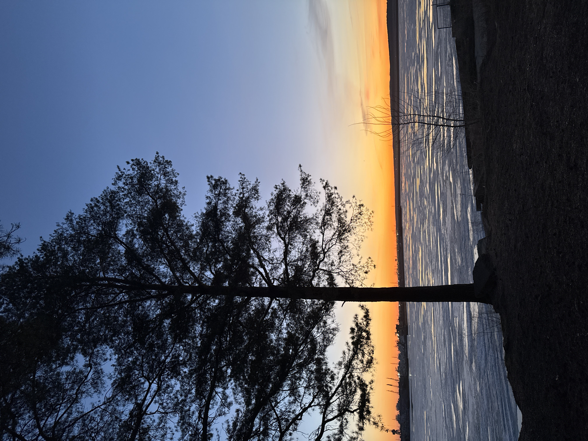 The image captures a serene landscape at either sunrise or sunset, characterized by dramatic colors and silhouettes. A large coniferous tree, possibly a pine, stands in dark silhouette on the left foreground, its intricate branches and needles outlined against the sky. The sky itself presents a striking gradient, transitioning from a deep, clear blue at the top to a brilliant orange and yellow along the horizon, indicating the sun is very low.
A vast body of water occupies the middle ground, beautifully reflecting the sky's vivid colors. Streaks of shimmering light, likely from the sun, dance across the water's surface, creating a dynamic interplay of bright reflections and darker tones. On the right side of the image, a darker strip of land forms the bank, with a smaller, bare tree silhouetted near the water's edge. A faint outline of a fence or railing is discernible on this bank.
Across the water, on the distant horizon, a subtle silhouette of what appears to be a distant town or industrial structures, possibly including buildings or cranes, is visible against the glowing orange sky. The scene is devoid of people or specific activities, emphasizing the natural beauty of the moment. The light and colors evoke a sense of tranquility and awe. There is no visible text in the image. The location is Chaikovsky, Russia.