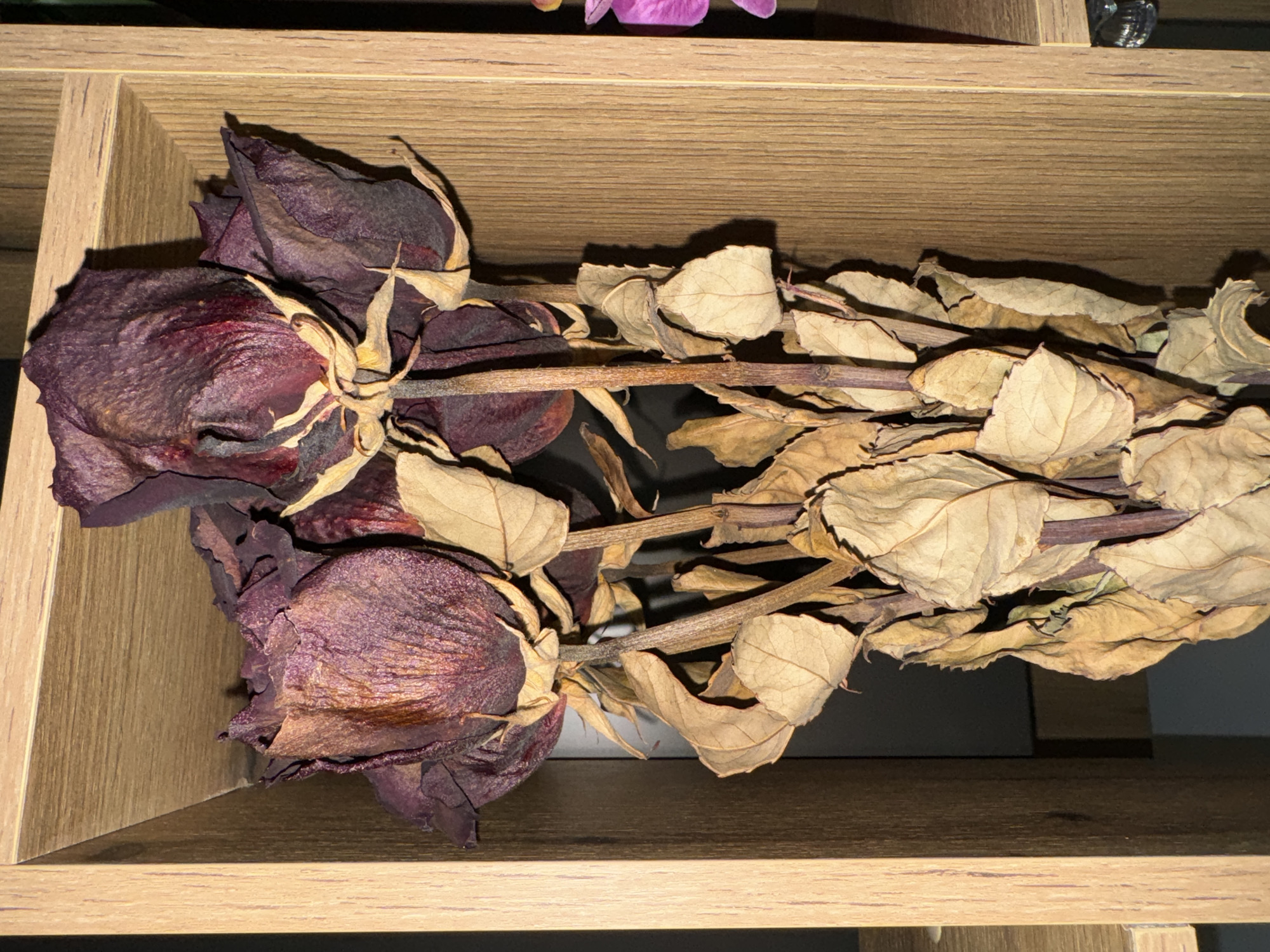The image shows a close-up of a few wilted roses and dried leaves placed inside a wooden shelf. The roses have dark burgundy to purple petals that are shriveled. The leaves are mostly dry and brown in color, scattered along with the rose stems. The shelf has a light brown wood grain finish. The background is dark, creating a contrast and emphasizing the dried floral arrangement. The location and city are unknown.