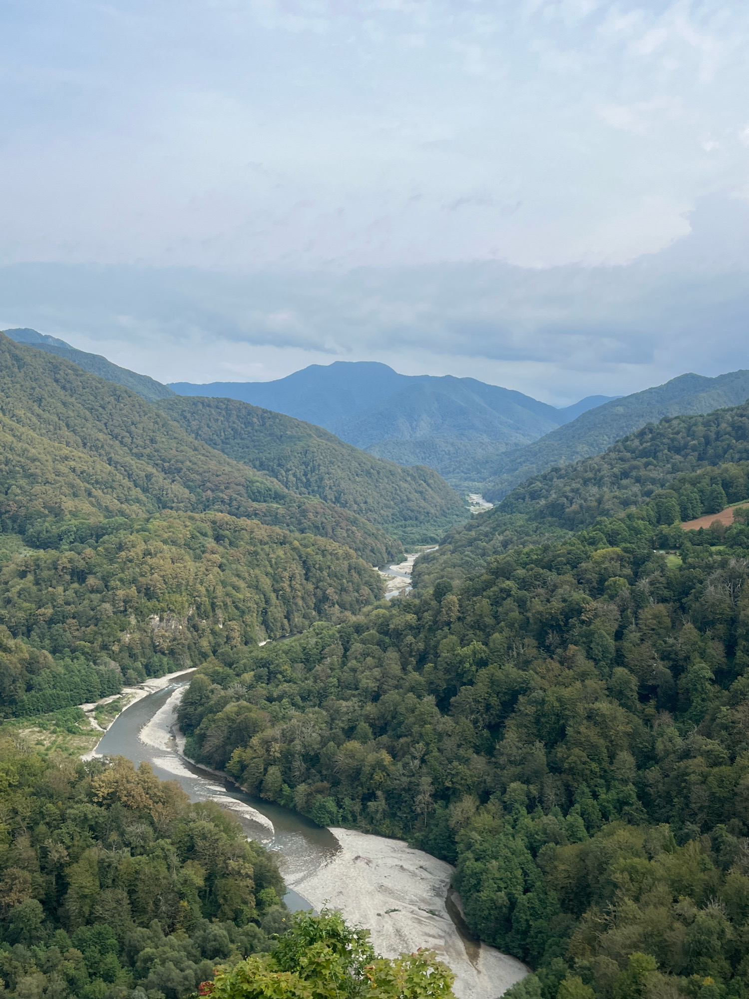 The image depicts a vast, verdant mountain valley under a cloudy sky. A winding river, with a wide, sandy bed and a narrow channel of water, carves its way through the lush green slopes. The mountains are densely covered with trees, their foliage showing a mix of greens and hints of autumnal yellows. The terrain suggests a remote, natural landscape. There are no people or man-made structures visible in the image, nor any identifiable actions or interactions. The environment is characterized by the dominant presence of nature: mountains, forest, and a river. The clouds in the sky are dense and overcast, contributing to a muted, natural light across the scene.
