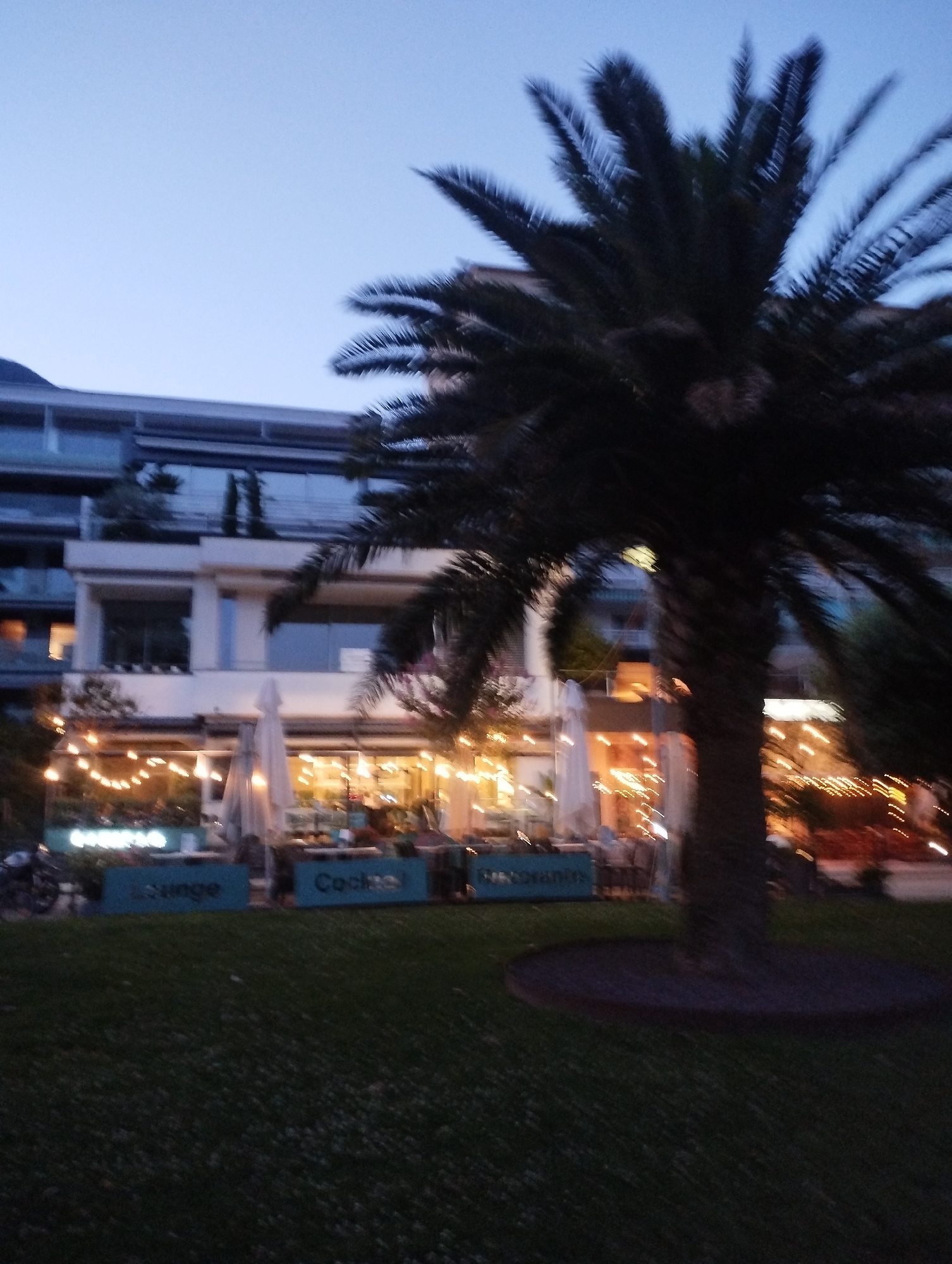 The image depicts an outdoor seating area of a restaurant or cafe in Muralto, Switzerland, likely during the evening. A large palm tree dominates the foreground, its fronds casting shadows. In the background, a modern building with multiple stories and balconies is visible. The restaurant's outdoor space is illuminated by strings of fairy lights, and white umbrellas are set up over tables. Signs on the ground indicate "Lounge" and "Cocktail." The ground is covered with green grass, and a dark circular structure surrounds the base of the palm tree. The sky is a deep blue, suggesting dusk or early night. No people are clearly identifiable in the frame.