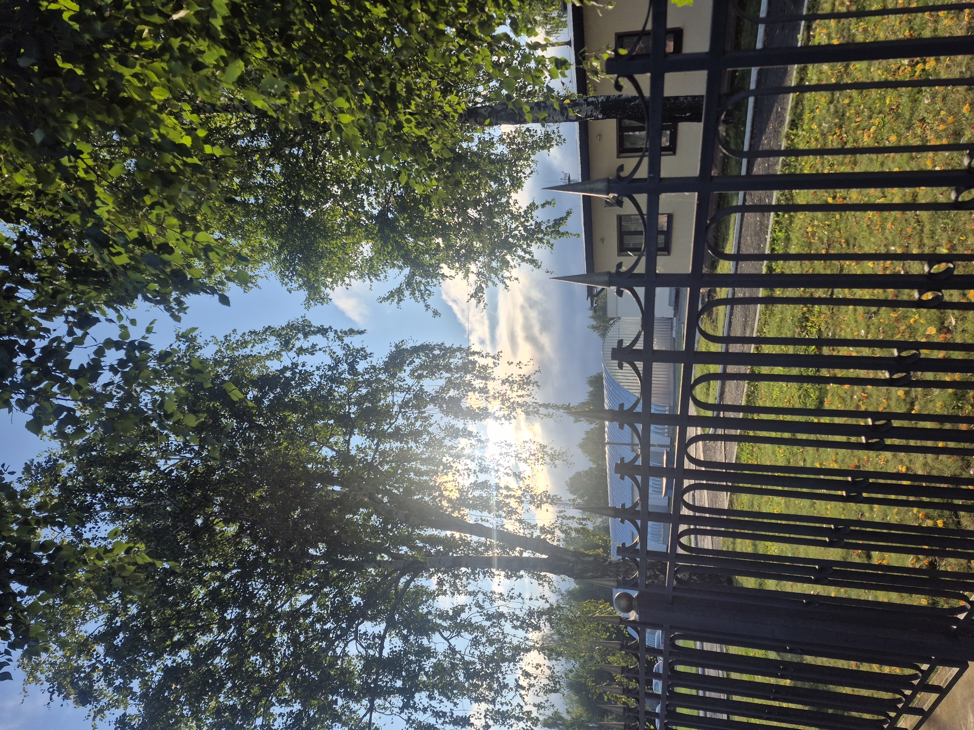 The image shows a view through a black wrought-iron fence towards a building and trees under a bright, cloudy sky. The fence has pointed finials and decorative loops. Behind the fence, on the left, is a large tree with lush green leaves, its trunk partially obscured by sunlight. To the right, another tree, also with green leaves, stands near a light-colored building with dark-trimmed windows. The building appears to be a single-story structure with a light gray, arched roof. The ground inside the fenced area is covered in green grass with scattered yellow and orange leaves, suggesting it might be autumn. The sky is a mix of blue and white clouds, with bright sunlight filtering through the trees, creating lens flares. In the background, beyond the building, there are more trees and some structures, including what looks like a large white building with an arched roof. This scene is situated in the city of Chaikovsky, Russia, likely an outdoor area adjacent to a facility or park.