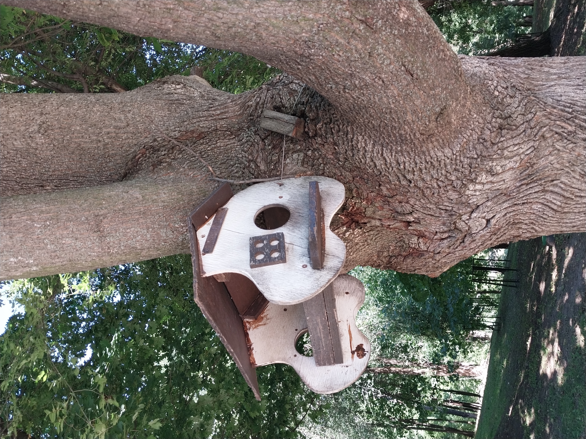 A weathered, two-compartment birdhouse shaped like a stylized guitar is attached to a large tree trunk in a park setting. The birdhouse is painted white with brown accents and shows signs of age and exposure to the elements. It is suspended by wires from a metal rod hammered into the tree. The tree is large with rough bark and is surrounded by lush green foliage. In the background, a park with grassy slopes and more trees can be seen, with dappled sunlight filtering through the leaves. The scene depicts a rustic, natural environment. This scene is located in the Dnipro City Botanical Garden in Dnipro, Ukraine.