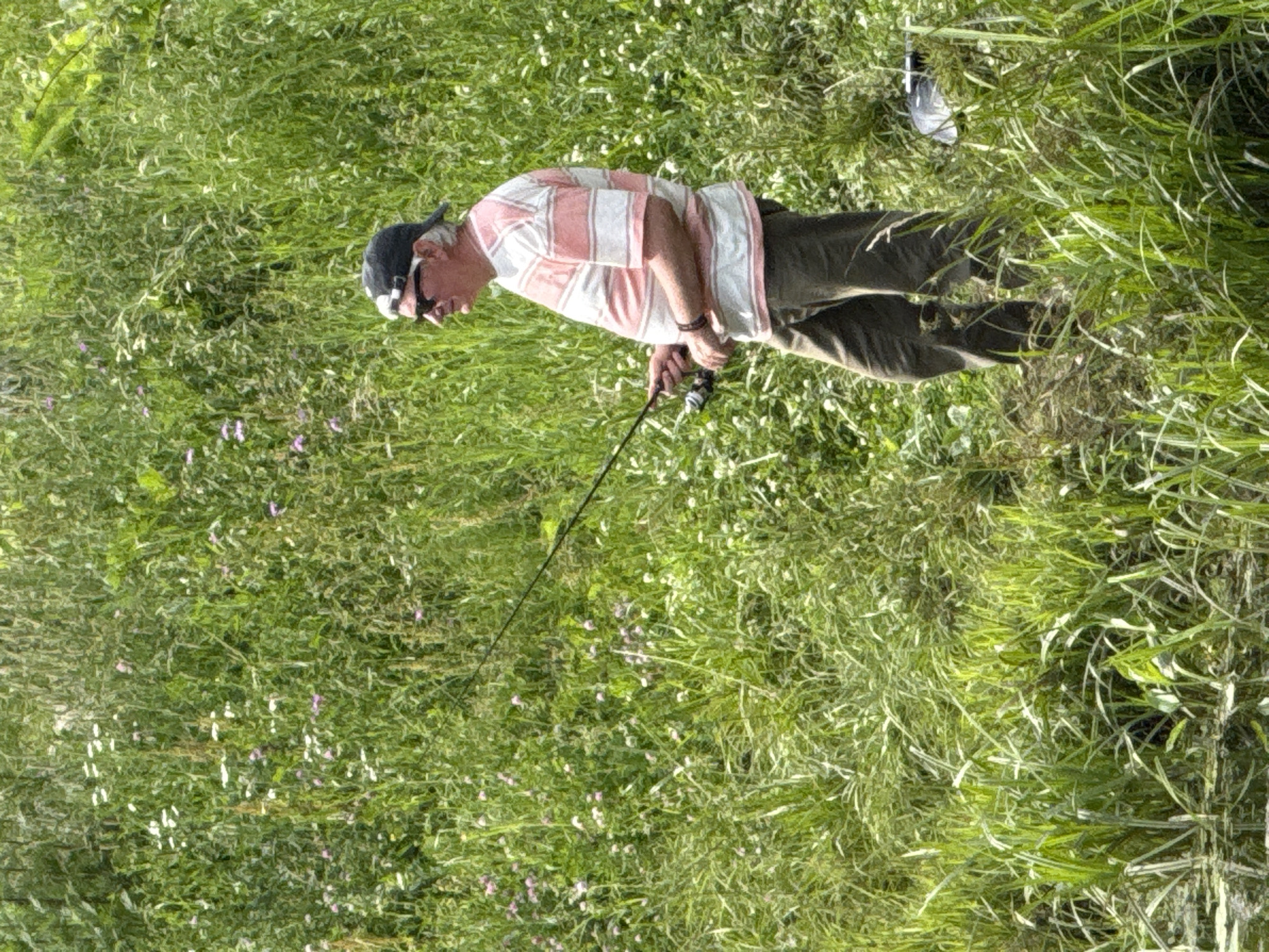 The image shows a man fishing in a grassy area with some small flowers. The man is wearing a pink and white striped shirt, dark pants, and a baseball cap. He is holding a fishing rod and appears to be casting or reeling in his line. The setting is outdoors, with lush green grass and vegetation surrounding the man. Small white and pink flowers are scattered throughout the grass. The lighting suggests it is daytime, with bright sunlight illuminating the scene. The man's posture and focus indicate he is engaged in the activity of fishing. There are no visible signs or text in the image. The location context is Moscow, Russia, which doesn't offer specific visual cues within the provided image itself.