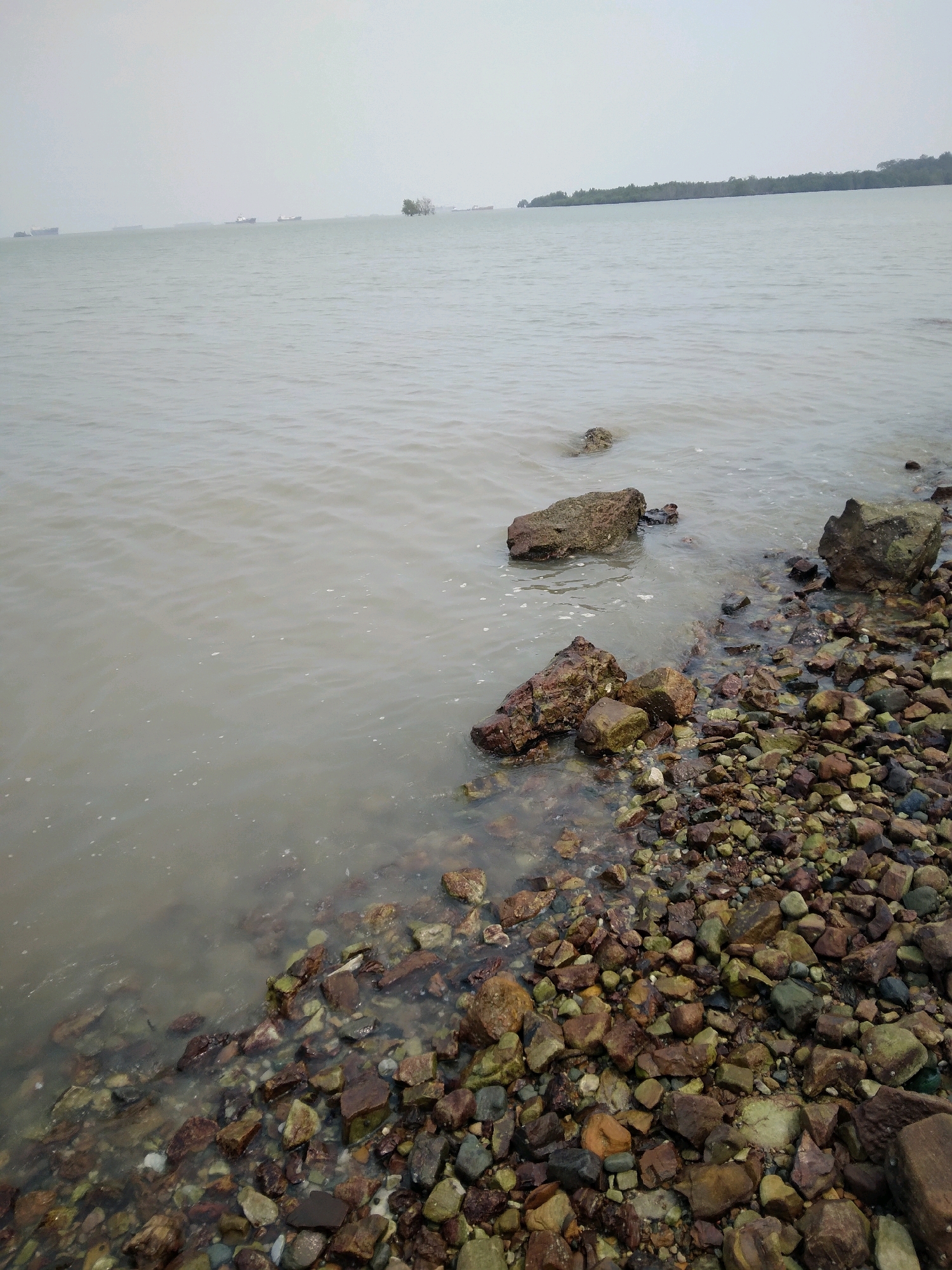 The image depicts a rocky shoreline with calm, murky water lapping at the stones. In the distance, the horizon is marked by a faint, hazy line of trees and several large cargo ships are visible on the water under an overcast sky. The foreground is dominated by a dense collection of various-sized rocks, some partially submerged in the water, exhibiting hues of brown, grey, and green. The overall scene suggests a port or coastal area, likely in Batam, Indonesia, given the presence of ships and the general landscape.