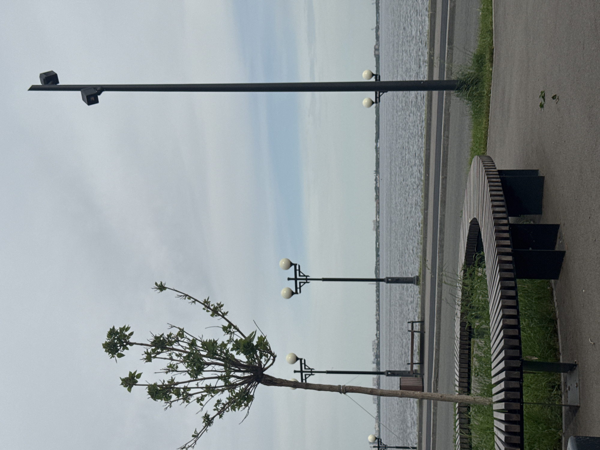 The image depicts a waterfront scene in Saratov, Russia. The water is calm and stretches to the horizon. A row of lampposts lines the waterfront, their globes are white. There is a long, curved bench made of wood slats with metal supports. Patches of green grass grow between the bench and the waterfront. To the left, a young tree stands with a few leaves on its branches. In the background, there are buildings along the distant shoreline. The sky is overcast. At the top of the image, there is a tall light pole with two security cameras attached near the top. The image is rotated 90 degrees clockwise.