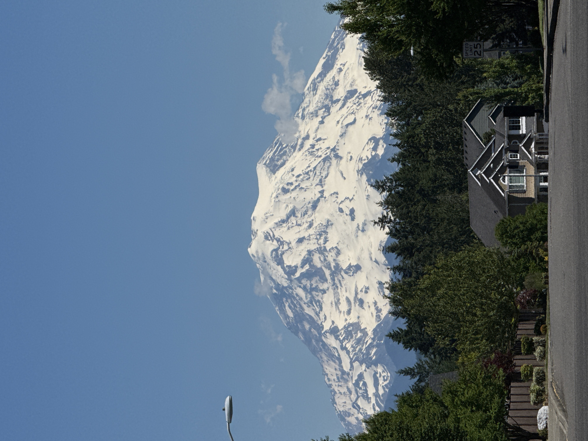 In South Hill, United States of America, a majestic snow-capped mountain dominates the background under a clear blue sky. In the mid-ground, a dense line of evergreen trees separates the mountain from a suburban neighborhood. Several houses with dark roofs and light-colored siding are visible, nestled amongst trees of various shades of green. A dark asphalt road runs along the bottom of the frame, leading towards the houses. A street lamp extends from the upper left corner, and a speed limit sign indicating "25" is posted on the right side of the road. The scene depicts a peaceful residential area with a dramatic natural backdrop.