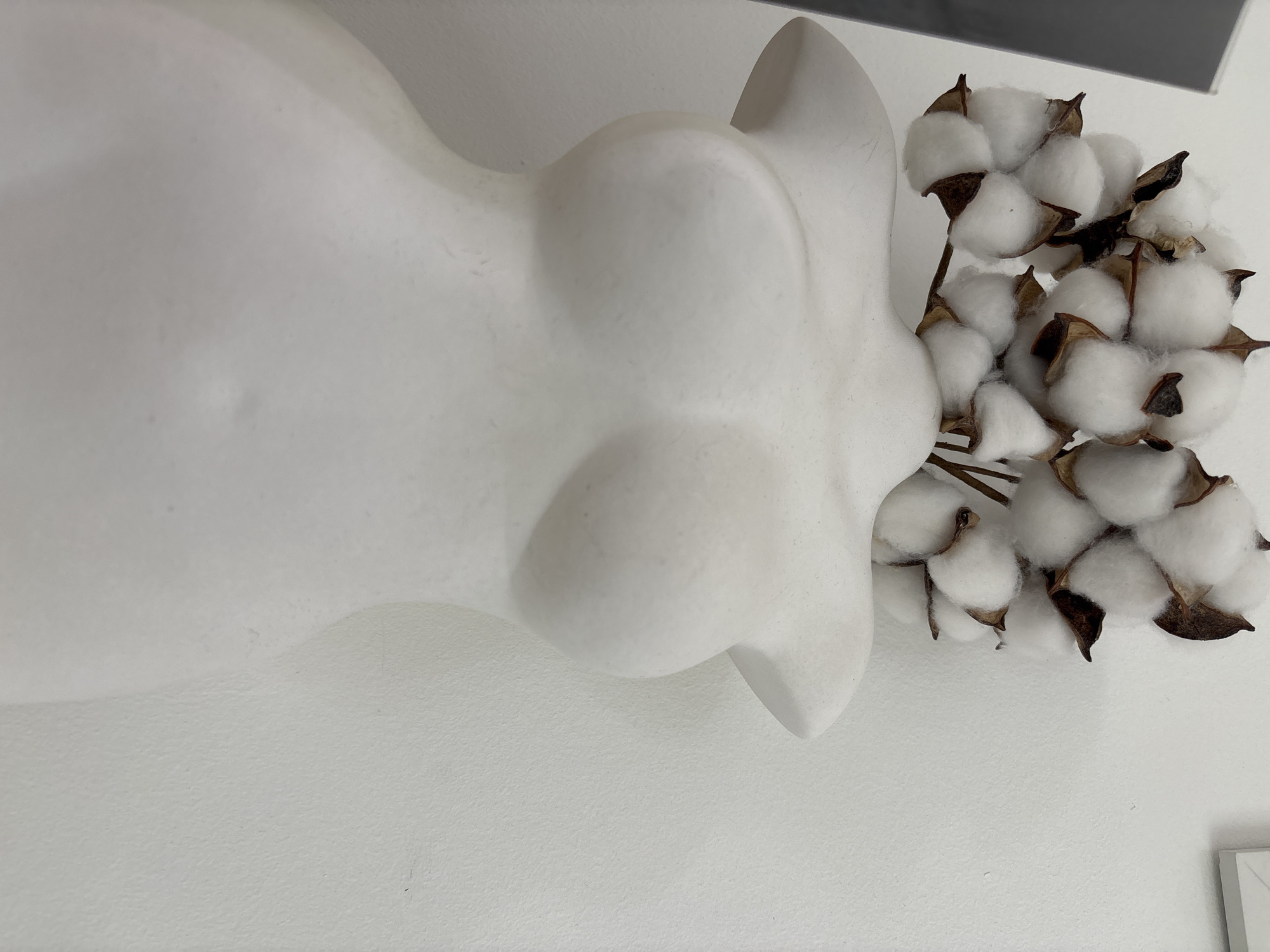 A white ceramic vase, shaped like a torso with prominent breasts, lies on its side against a white wall. A bundle of cotton bolls is positioned at the vase's opening. The exact location within the city of Unknown, Russia, cannot be determined from the image.