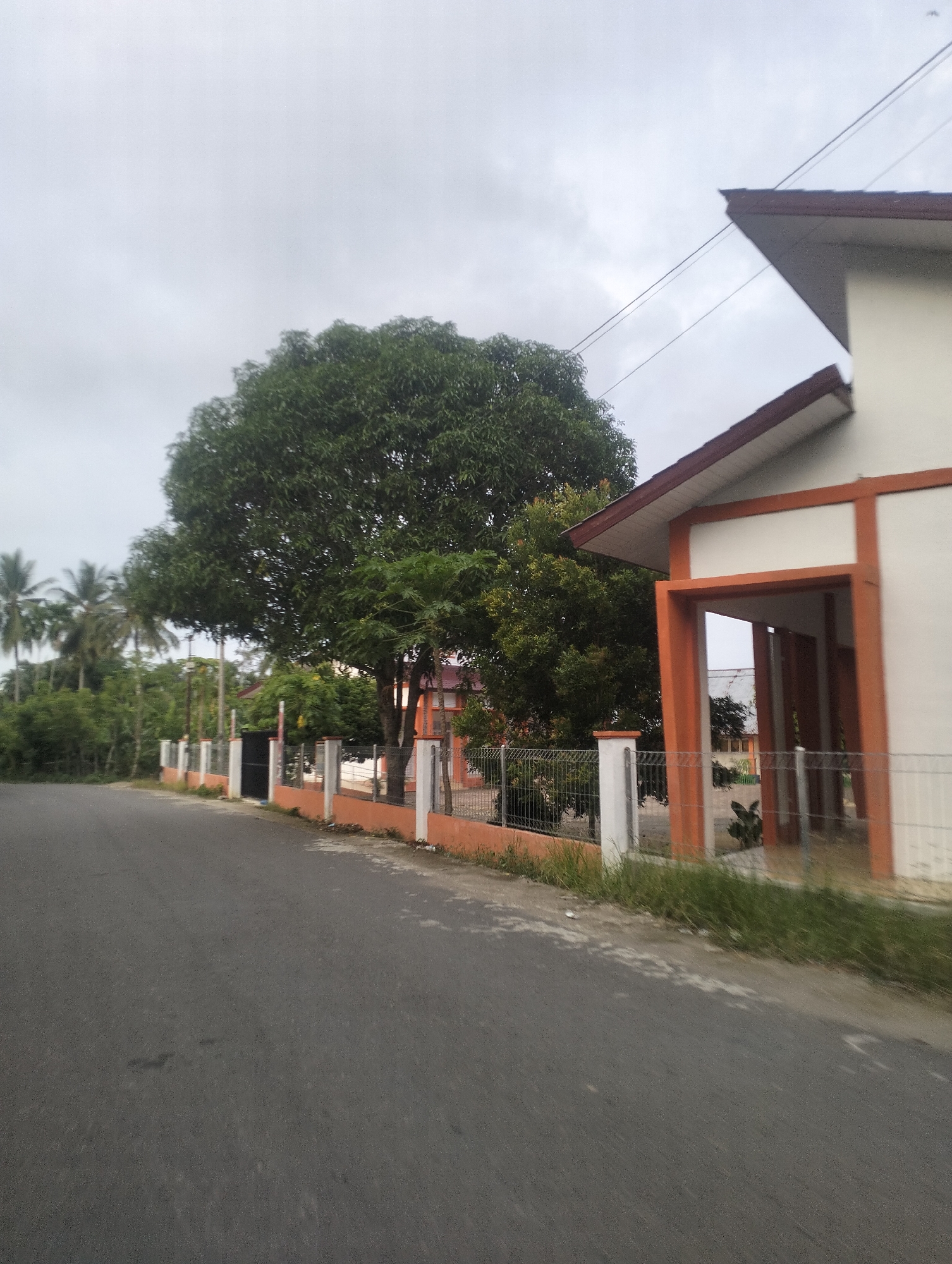 A low-angle, side view captures a street in Pantonrayeuk Satu, Indonesia, with a building and lush vegetation. The asphalt road dominates the foreground, showing some wear and scattered debris. To the right, a building with a white facade and orange trim features an open entrance. A low, orange-topped fence runs along the property line, bordering a strip of grass and a chain-link fence. Behind the fence, a large, mature tree with dense green foliage stands prominently. Beyond the tree, more trees and palm trees are visible, suggesting a tropical environment. The sky is overcast and gray, indicating potentially cloudy weather. The scene appears to be devoid of people, with no discernible actions or interactions taking place.