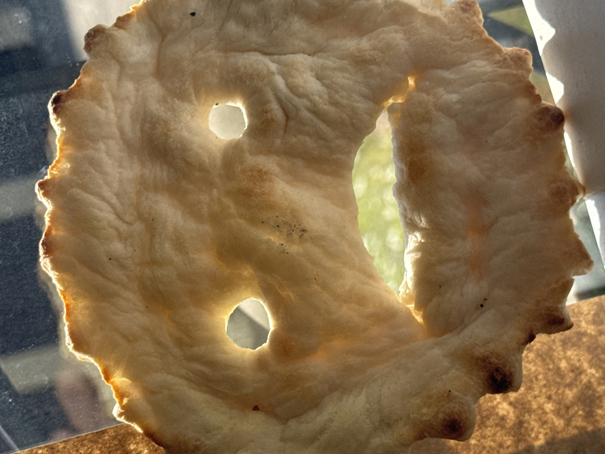 The image is a close-up, backlit photograph of a piece of flatbread that has been shaped to resemble a distressed face. The flatbread has two round holes for eyes and a larger, irregular hole for a mouth, which is open in a grimace. The edges of the flatbread are crinkled and appear slightly browned, suggesting it may have been baked or toasted. The lighting creates a dramatic effect, highlighting the texture of the bread and casting shadows that enhance the facial features. The background is out of focus but appears to be an outdoor environment with greenery and sunlight. The photograph was taken in the city of Zaokskiy, Russia.