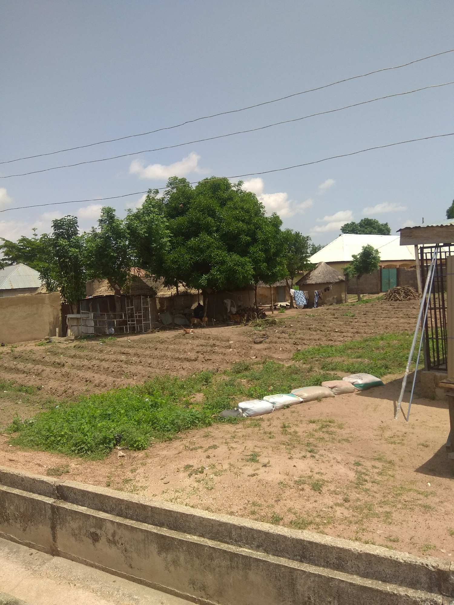 The image depicts a rural or semi-rural area in Jalingo, Nigeria. In the foreground, a concrete drainage channel runs horizontally across the bottom of the frame. The ground beyond the channel is a mixture of dry earth and sparse green vegetation. Several large sacks, likely filled with sand or other materials, are lined up on the sandy ground.
Further back, a cultivated field with tilled rows of soil is visible. To the left of the field, there are several traditional structures, including buildings with corrugated metal roofs and thatched roofs, suggesting a residential area. A large, leafy tree stands prominently behind these structures, casting shadows. In the middle ground, a more modern building with a white, sloped roof is also present, with a green metal gate. A stack of cut wood is piled near this building.
In the background, more trees and vegetation are visible, interspersed with the sky, which is partly cloudy. The overall scene conveys a sense of everyday life in a community in Jalingo, likely with agricultural activities taking place. There are no visible people in the immediate foreground, but the presence of the structures and cultivated land suggests human habitation and activity. The atmosphere appears to be a clear day with ample sunlight.