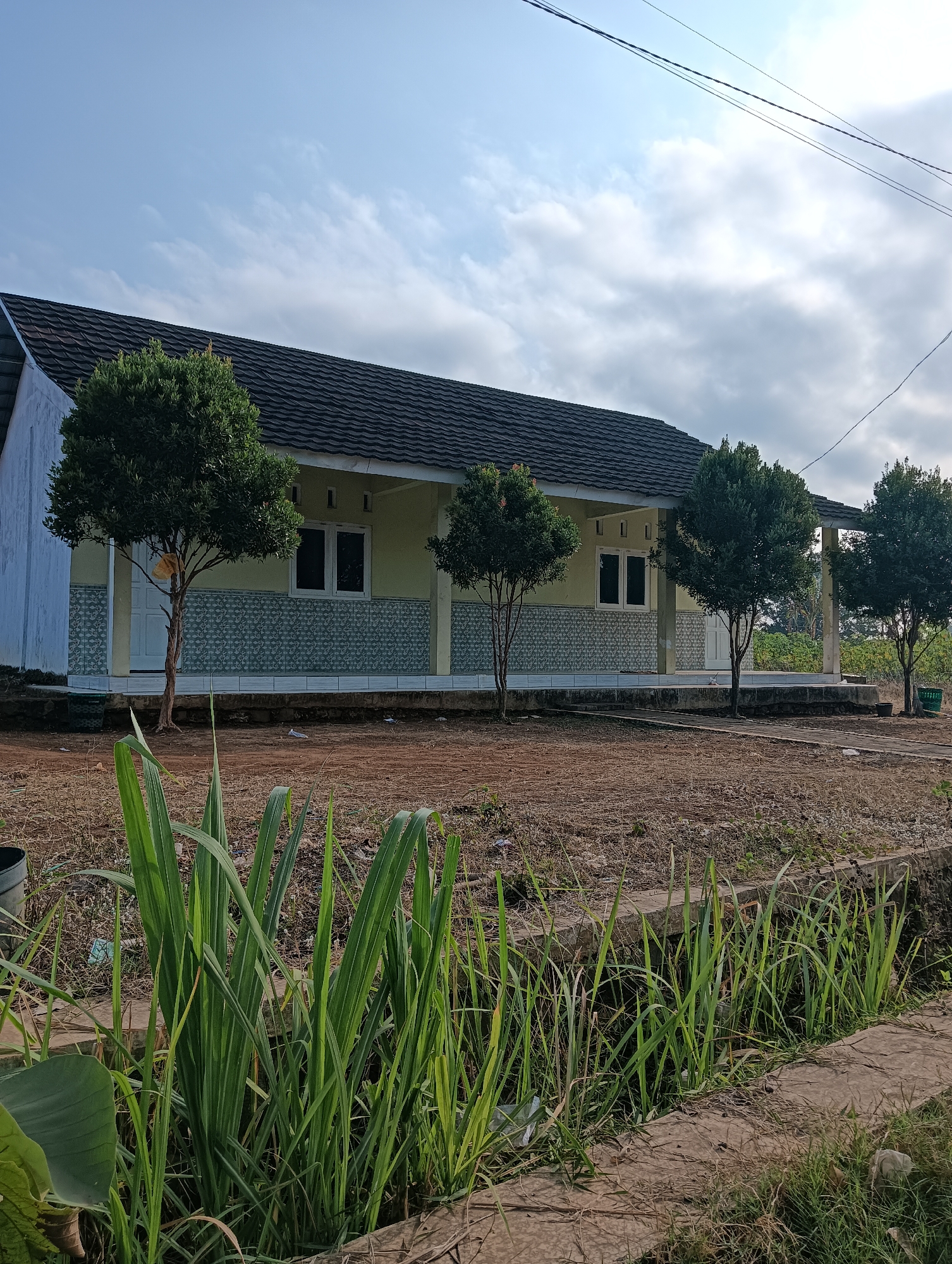 A side view of a long, single-story building with a dark gray, tiled roof is captured in this outdoor, daytime photograph. The building has light yellow walls with a decorative pattern of light blue tiles along the lower half. Several trees with full, green canopies are planted in front of the building. The ground in front of the structure is dry and covered in brown earth and scattered dry grass. In the foreground, tall green grass grows along a concrete edge. The sky above is a clear blue with scattered white clouds. Power lines are visible in the upper right portion of the image. The scene appears to be a school or a similar institutional building in a rural or semi-rural setting, possibly in the area of Cluwak, Indonesia, given the vegetation and architectural style. No people are visible in the image.