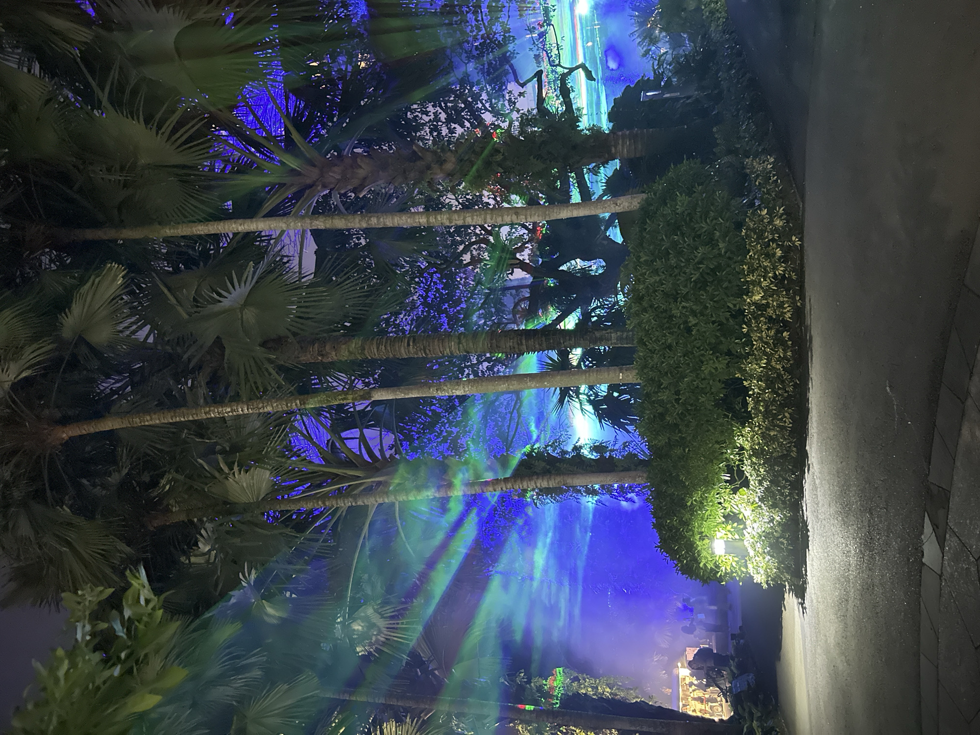 The image captures a nighttime scene at Gardens by the Bay in Singapore. The foreground features a paved pathway and lush green bushes, some illuminated by a small garden light. In the midground, several palm trees stand tall, their trunks dark against the colorful, foggy atmosphere. Behind the trees, vibrant blue and green light beams are projected through the mist, creating an ethereal, almost otherworldly ambiance. In the background, silhouetted figures of people are visible, suggesting a public event or attraction. The overall impression is one of a beautifully lit, tropical night garden, enhanced by dramatic light displays.