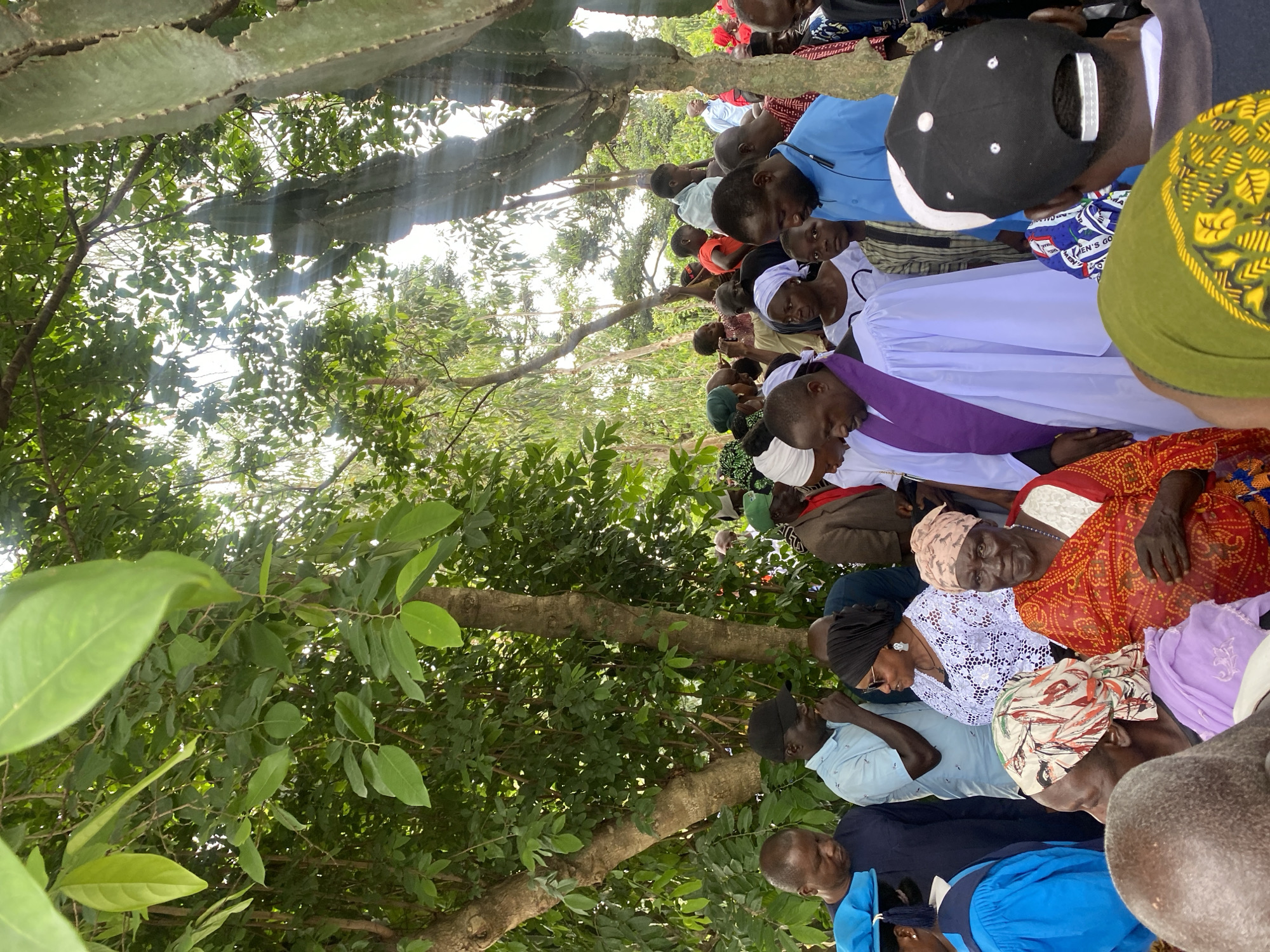 The image depicts a gathering of people outdoors, likely in a communal setting. The environment suggests a rural or semi-rural area, with dense green foliage and trees forming a canopy overhead, with shafts of sunlight filtering through. The presence of what appears to be a large cactus-like plant on the right side of the frame could indicate a specific region.
The people in the image are dressed in a variety of clothing, with many wearing headscarves and brightly colored traditional attire, suggesting a cultural event or ceremony. In the foreground and middle ground, several individuals are visible, some looking down, others towards the center of the gathering. One man in the center appears to be wearing clerical vestments, a purple stole over a white robe, suggesting a religious service. A woman in a white lace top and black headscarf is also prominent. Other individuals are in casual wear. The people are standing close together, creating a sense of community and shared experience.
The scene appears to be taking place in Wang, Nigeria, based on the provided information. The overall atmosphere is one of solemnity or respect, as indicated by the postures and expressions of some individuals. The image captures a moment of communal gathering, possibly a funeral or other significant event, set against a natural, green backdrop.