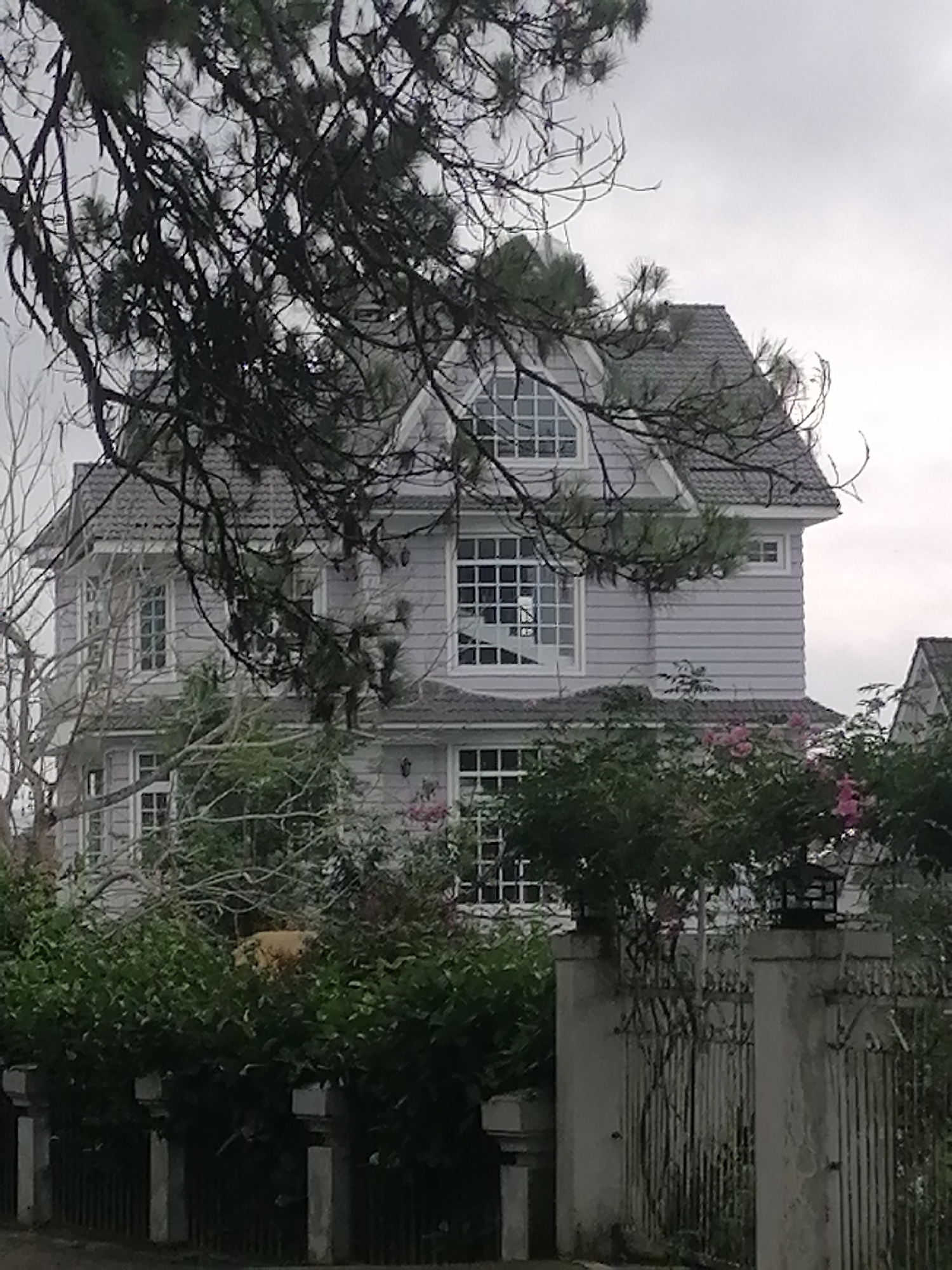 The image displays a multi-story house partially obscured by dense foliage and tree branches under an overcast sky. The house features light grey horizontal siding, a dark tiled roof with prominent gables and a distinctive arched dormer window on the upper floor. Numerous white-framed windows, many with grilles, are visible across the building's facade.
In the foreground, a sturdy concrete fence with decorative pillars stands, accompanied by an ornate, dark metal gate. Lush green bushes and trees, some adorned with small pink flowers, grow along and behind the fence, creating a natural screen that partially conceals the lower part of the house. Overhead, dark, sprawling branches of pine trees, identifiable by their needle-like leaves, frame the upper section of the structure.
The scene is static, with no visible human activity. The soft, diffused light from the overcast sky suggests a cloudy daytime. The architectural style of the house and the presence of pine trees hint at a serene, possibly elevated, residential setting, aligning with the context of Da Lat, Vietnam. No text is visible in the media file.