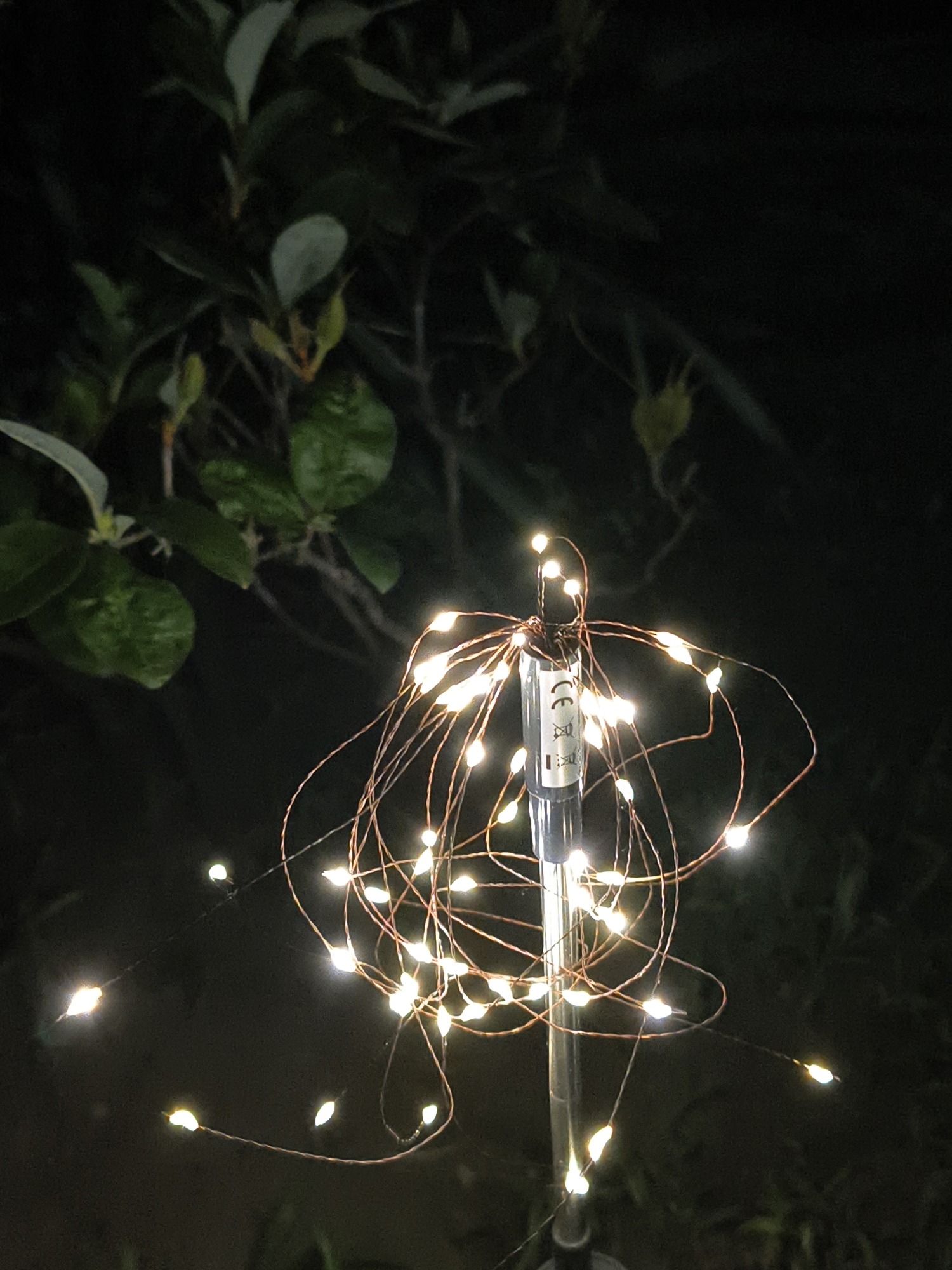 In the city of Tczew, Poland, a solar-powered string of fairy lights illuminates the night. The lights, which are small and white, are wrapped around a thin metal pole. The pole appears to have a small label with a CE mark. The lights are scattered and form an irregular pattern, some of them appearing to float independently in the darkness. In the background, there are dark green leaves from a plant, likely a tree or shrub. The overall scene is dimly lit, emphasizing the glow of the fairy lights against the dark, natural environment.