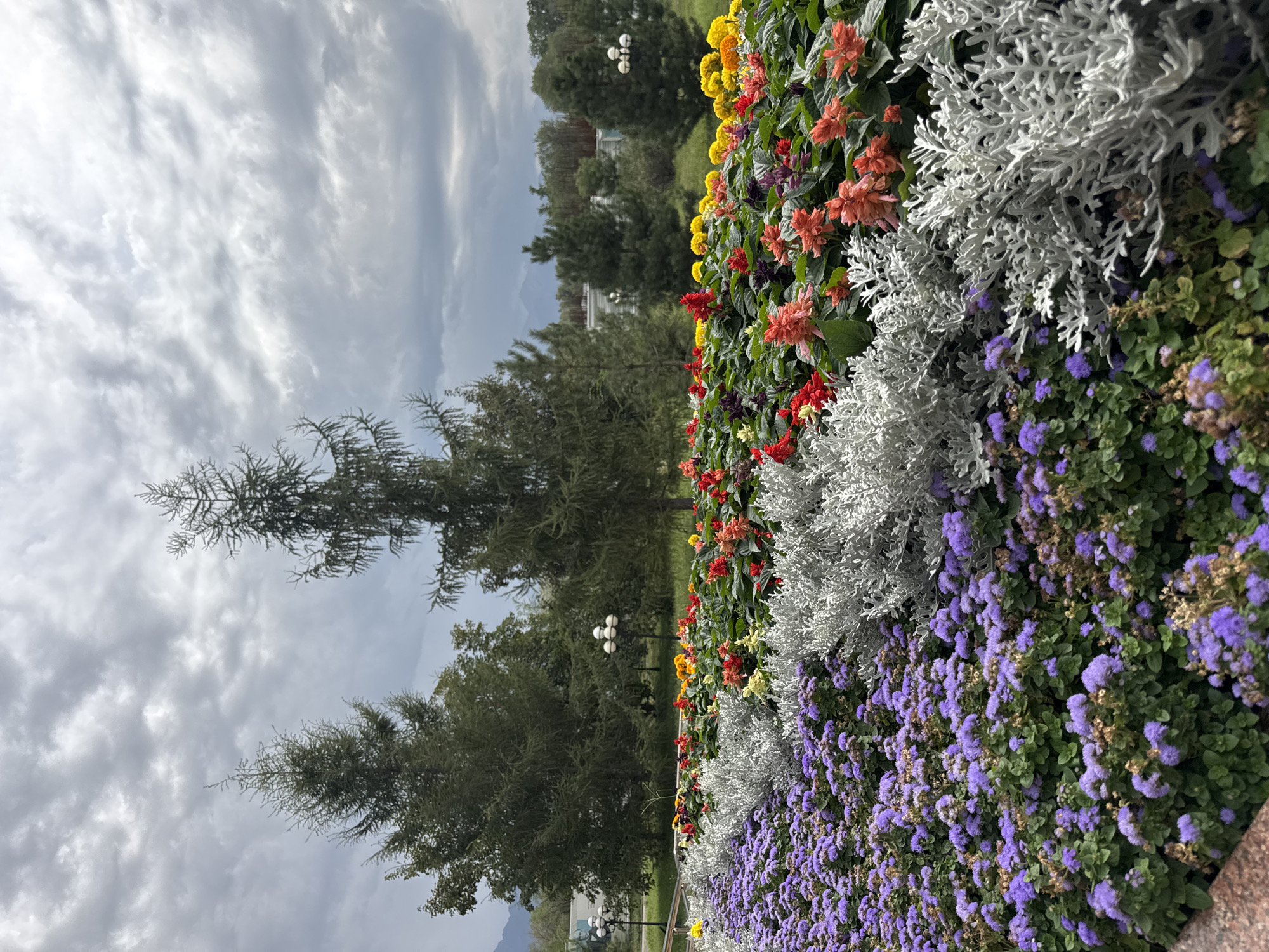 The image depicts a vibrant flower bed with a variety of colorful flowers, including purple, red, orange, and yellow blooms, interspersed with silvery-green foliage. Tall evergreen trees stand behind the flower bed, and a cloudy sky with dramatic cloud formations is visible above. In the background, there are glimpses of buildings and mountains, suggesting an outdoor urban or park setting. The scene is likely located in Almaty, Kazakhstan, a city known for its beautiful parks and proximity to mountainous landscapes, as indicated by the presence of the Tien Shan mountains. The overall impression is one of a well-maintained public space, possibly a park or botanical garden, showcasing the beauty of nature in an urban environment.