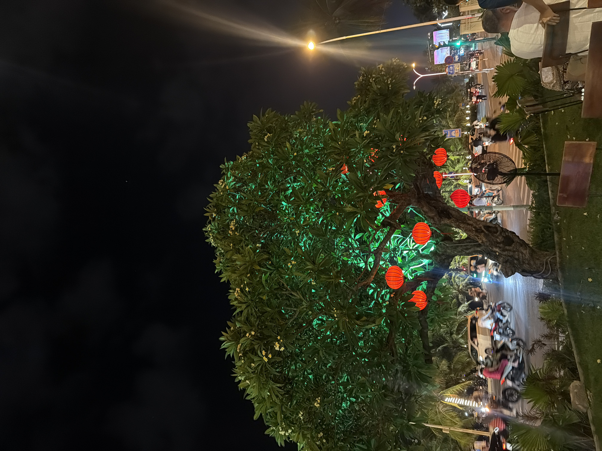 This nighttime photograph depicts a lively street scene in Nha Trang Ward, Vietnam. A prominent, large-foliage tree stands centrally, illuminated from below by a vibrant green light that casts a distinct glow on its leaves and small, light-yellow flowers. Several round, bright red lanterns are suspended from the tree's branches.
The midground features a two-lane road with active traffic. Numerous motorbikes and scooters, many carrying multiple riders, are in motion, appearing slightly blurred due to movement. A light-colored SUV is also visible in the traffic flow. The street surface reflects ambient lights, suggesting dampness. On the right side of the street, a tall streetlight emits a strong yellow light with visible rays. Further down the street, multiple illuminated billboards and street signs with Vietnamese text, including "LE LOI," are discernible, alongside a green traffic light.
In the immediate foreground, to the bottom right, an outdoor dining or seating area is present, with wooden tables and chairs. A man in a white t-shirt is seated at one of these tables, viewed from behind. Adjacent to the seating area, a black standing electric fan is positioned on a patch of grass. The foreground also includes landscaped tropical plants. The background reveals a dark night sky with faint cloud patterns, and distant urban lights. Palm trees are visible on the right side of the image, extending into the upper background.