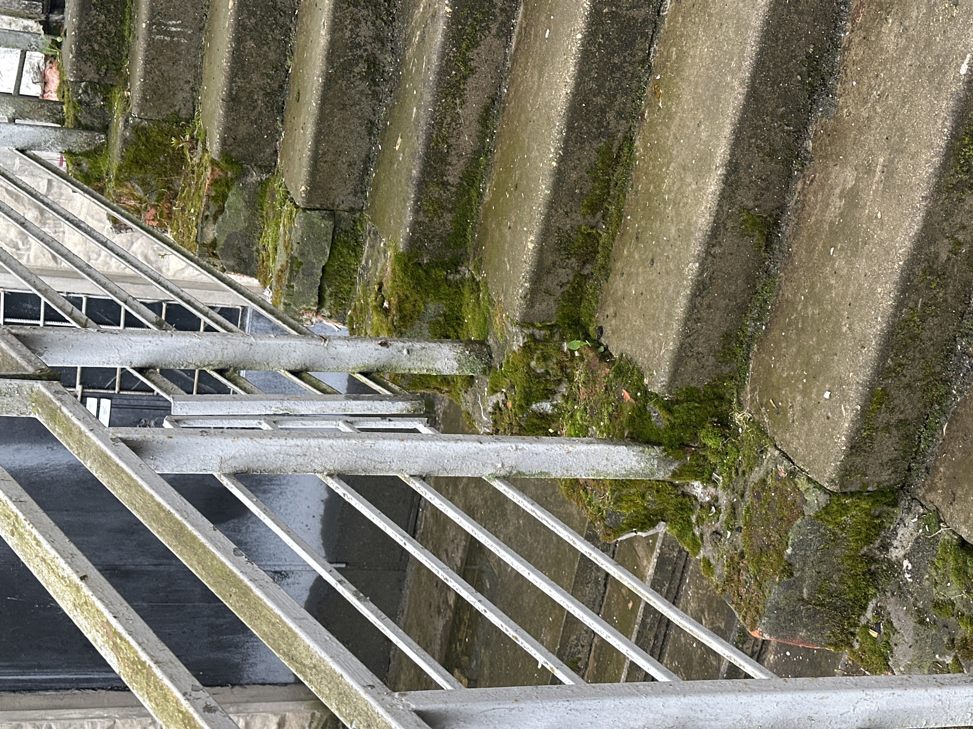 The image shows a set of concrete stairs with a gray metal railing. Moss grows on the edges and between the steps of the stairs. The setting appears to be outdoors. No people are visible. The location is not identifiable as Moscow, Russia, without additional information.