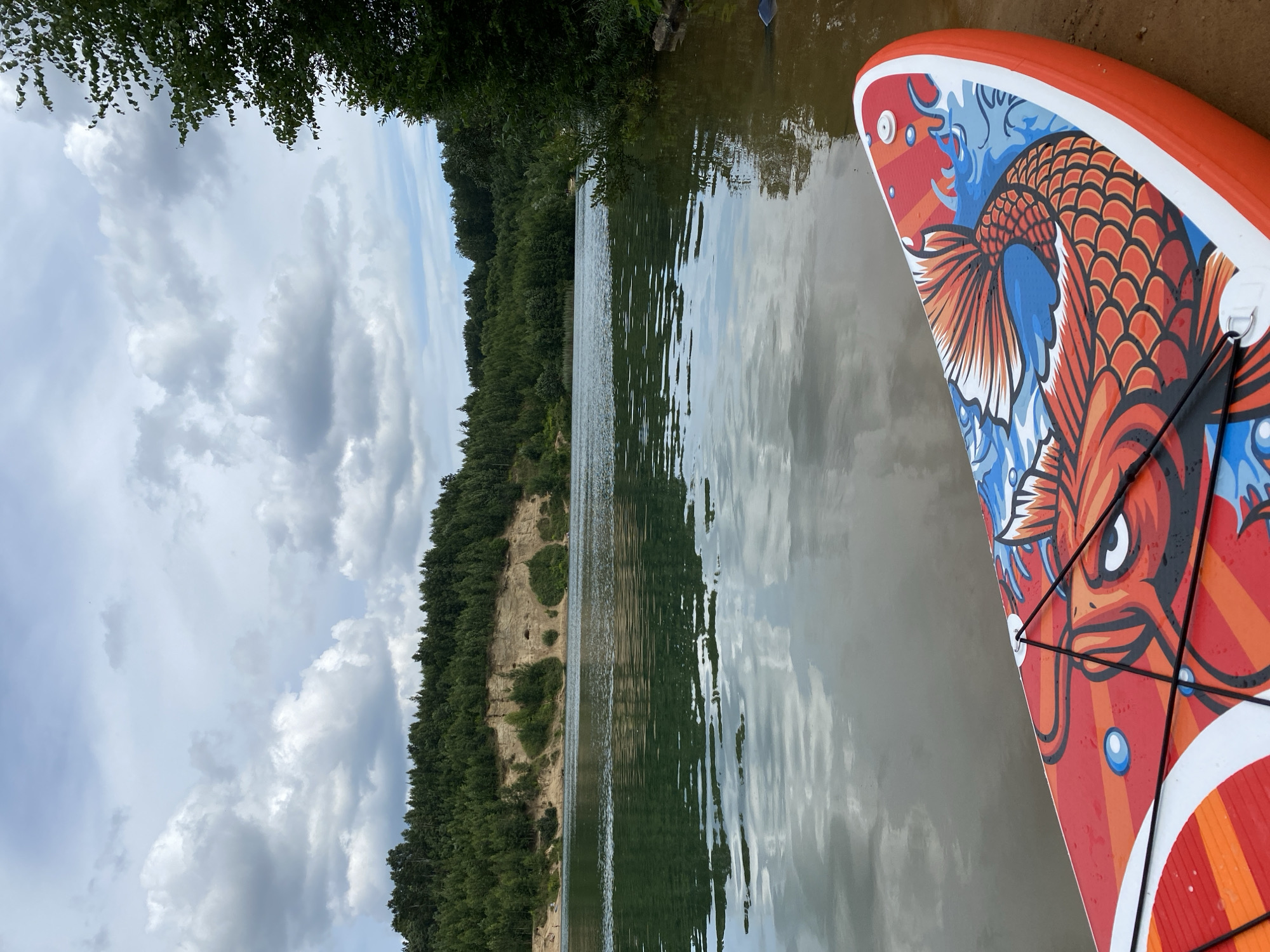 The image depicts a serene lake scene, likely near Алюмино Днт, Russia, on a cloudy day. In the foreground, the brightly colored tail and head of an orange koi fish adorn a red paddleboard resting on a sandy shore. The paddleboard is positioned at an angle, with its tip pointing towards the water. The lake itself reflects the overcast sky and the surrounding lush green trees that line the distant shore. A sandy embankment with sparse vegetation rises behind the trees, creating a textured backdrop. The water is calm, with gentle ripples disturbing the surface, and its color is a mix of green and brown, possibly due to the sandy bottom or dissolved minerals. The overall atmosphere is tranquil and natural, suggesting an ideal spot for recreational water activities.