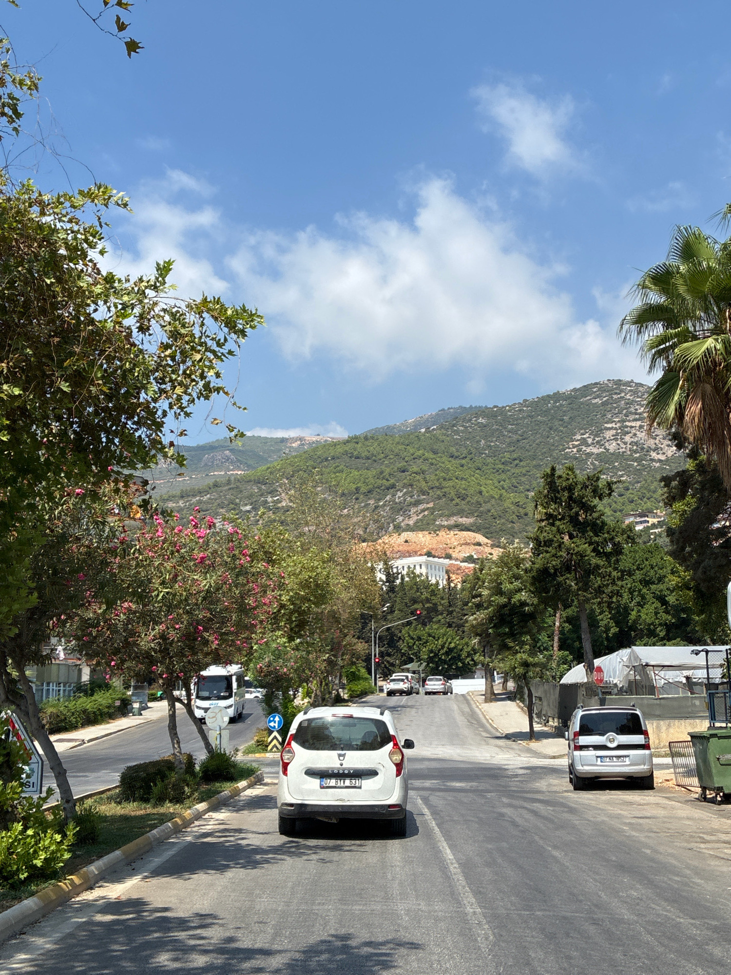 This is a medium-angle, eye-level shot of a street in Alanya, Turkey, looking uphill. The street is paved and appears to be two lanes. There are several cars on the road, including a white Dacia Lodgy in the foreground, a silver compact car, and a white bus further up the road. Trees line both sides of the street, with lush green foliage and some with pink flowers. A palm tree is visible on the right side of the frame. In the background, a large, verdant hill rises, with some buildings and a construction site visible on its slopes. The sky is blue with scattered white clouds. The overall scene depicts a sunny day in a city with a natural landscape.