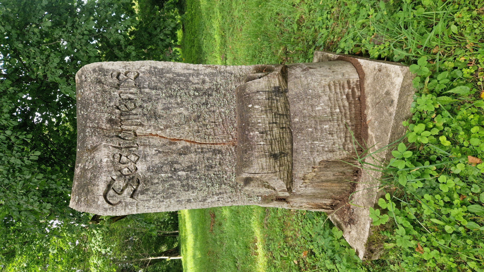 The image shows a weathered, carved wooden monument in a park-like setting. The monument, appearing to be made from a large tree trunk, is roughly rectangular with a curved top edge. Carved into its surface in an ornate script are the words "Sestamens". A vertical crack runs down the center of the monument. Below the inscription, a section of the wood has been carved to resemble a seat or bench. The monument rests on a rough concrete base which is surrounded by green grass and some low-lying plants. In the background, mature trees with dense green foliage are visible, suggesting a natural, outdoor environment. The scene is illuminated by natural light, likely daytime, with dappled sunlight filtering through the trees. There are no people or animals present in the image. The monument is located in Kazdanga, Latvia.