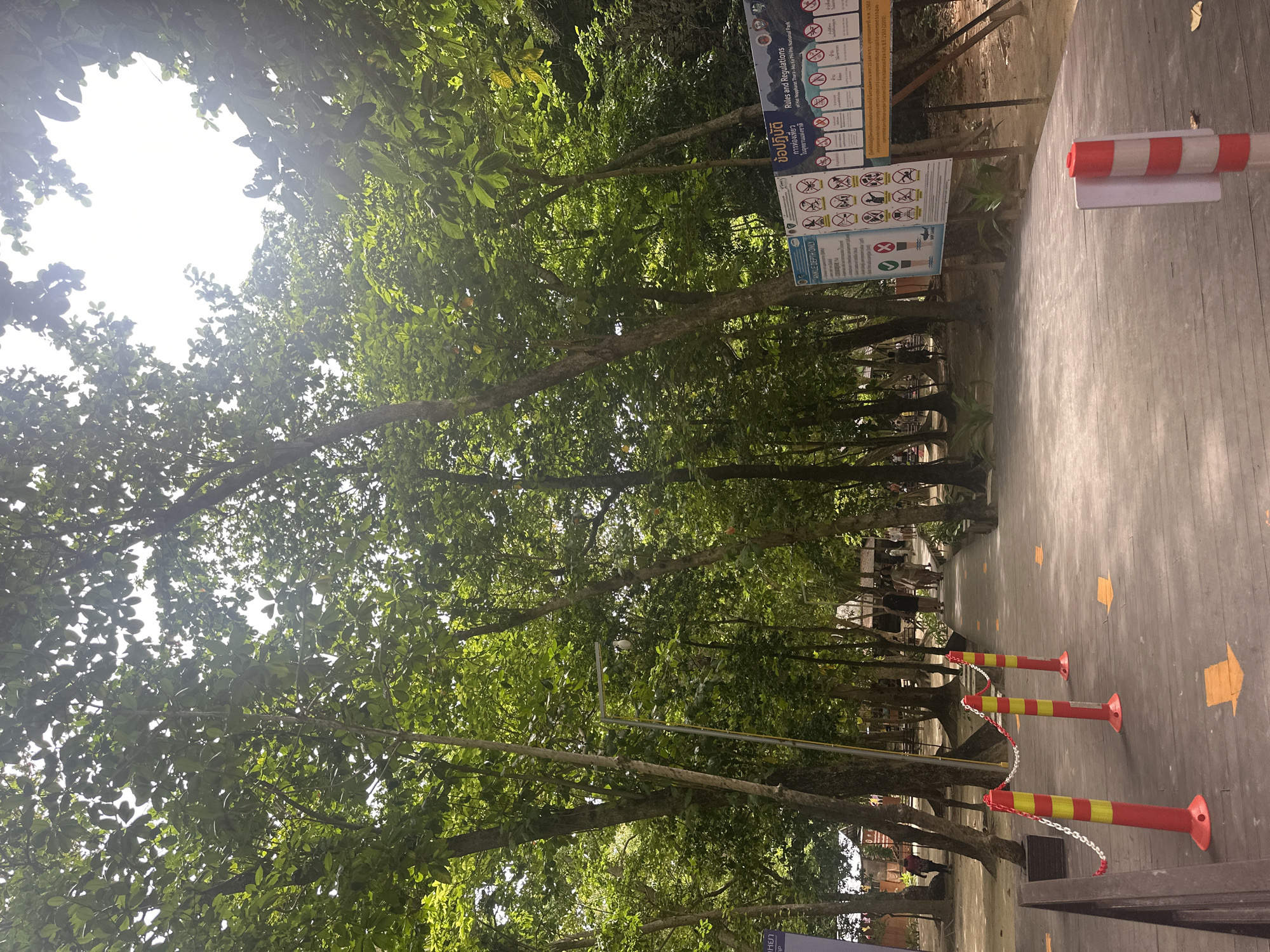 A wooden boardwalk path, lined with red and yellow striped bollards and a metal chain, leads into a shaded forest area with tall trees and lush green foliage. Orange arrows are painted on the boardwalk, indicating a directional flow. In the background, people are visible walking along the path, and beyond them, there are hints of buildings and a sandy area. A signpost with multiple pictograms and text in Thai and English, displaying rules and regulations for "Hat Noppharat Thara - Mu Ko Phi Phi National Park," is situated on the right side of the boardwalk. The scene appears to be a pathway within a tropical park or nature reserve in Ao Nang, Thailand, given the signage.