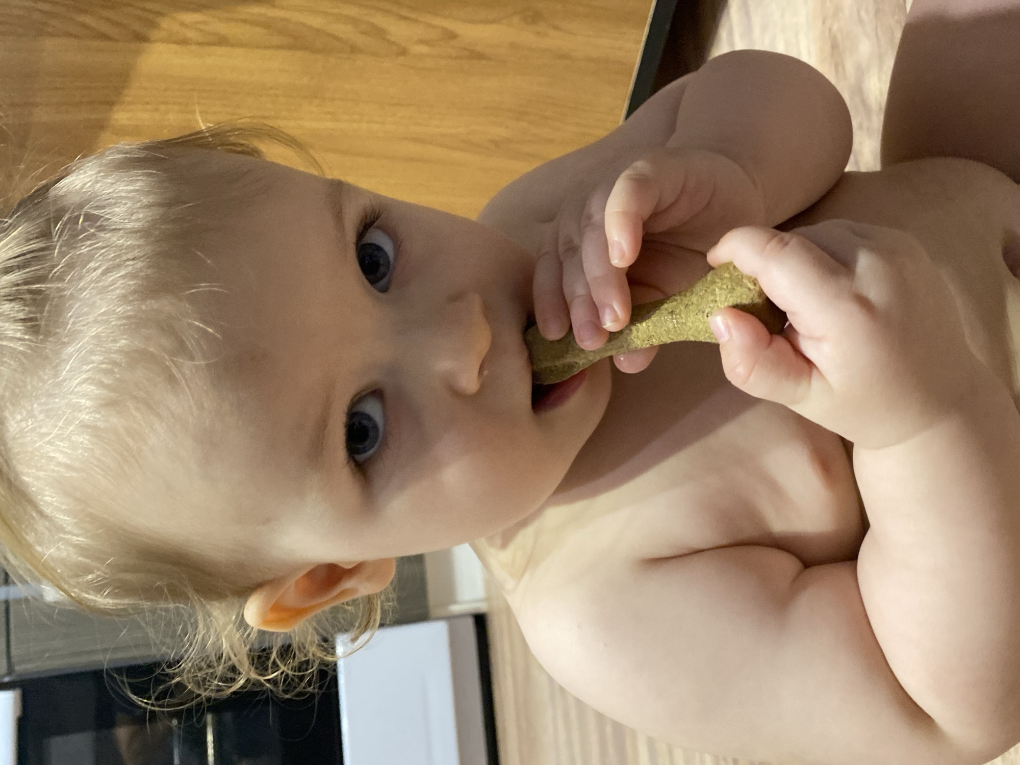 A baby with blond hair and blue eyes is sitting on a wooden floor. The baby is holding a green, cylindrical object in their hands and putting it in their mouth. A white appliance is partially visible in the background. The location is an interior of an Unknown building, in the city of Unknown, Unknown.