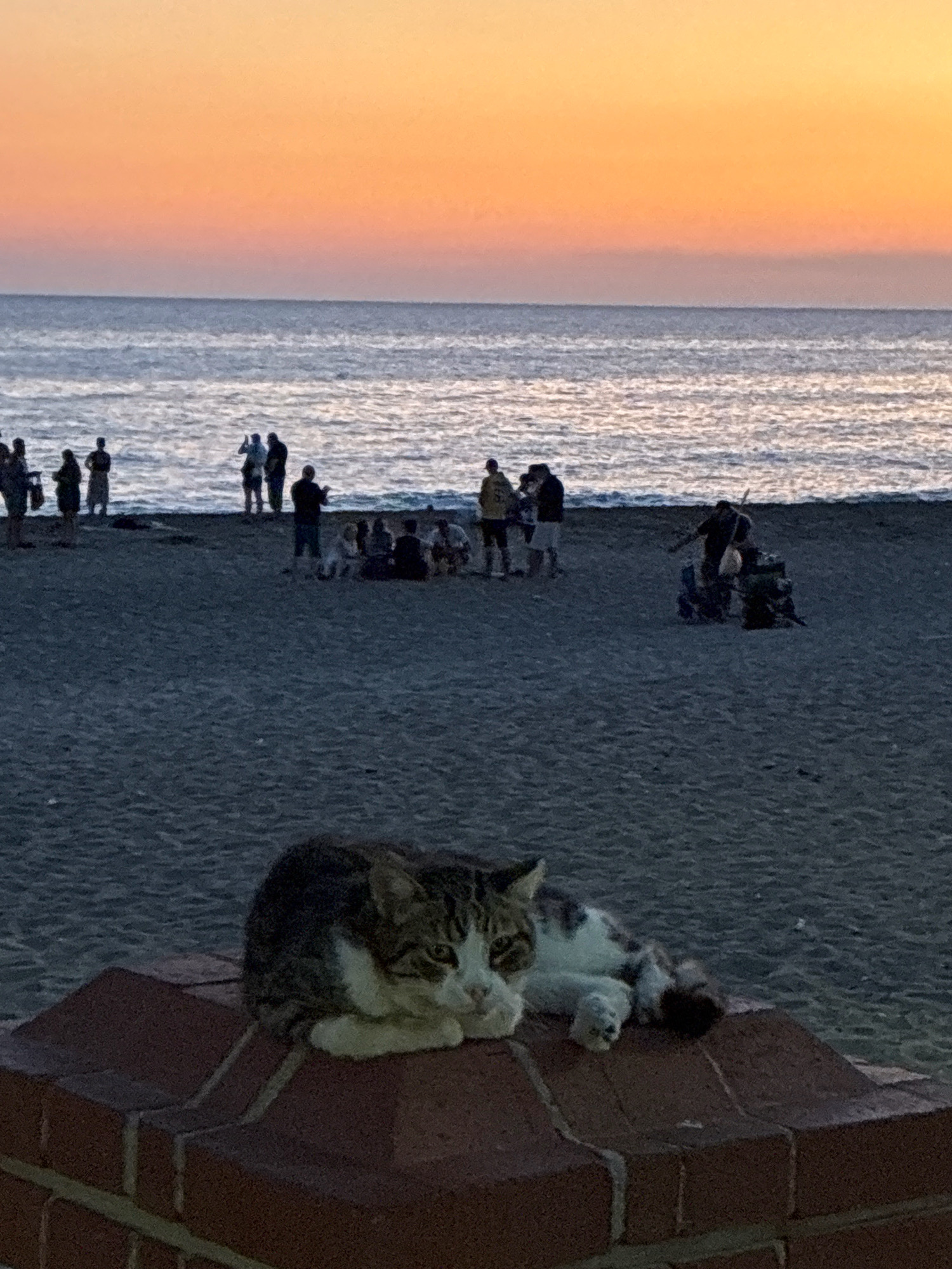 An outdoor, medium shot shows a tabby cat lying on a brick ledge in the foreground, with a beach and the sea in the background. The cat is facing right and looking forward with its eyes open. The brick ledge is made of reddish-brown bricks. In the background, several people are visible on the sand and near the water, some gathered in small groups. The sea is calm with small waves, and the sky above is a gradient of orange and pink, indicating either sunrise or sunset. The scene appears to be a public beach area in Alanya, Turkey, at dusk or dawn.
