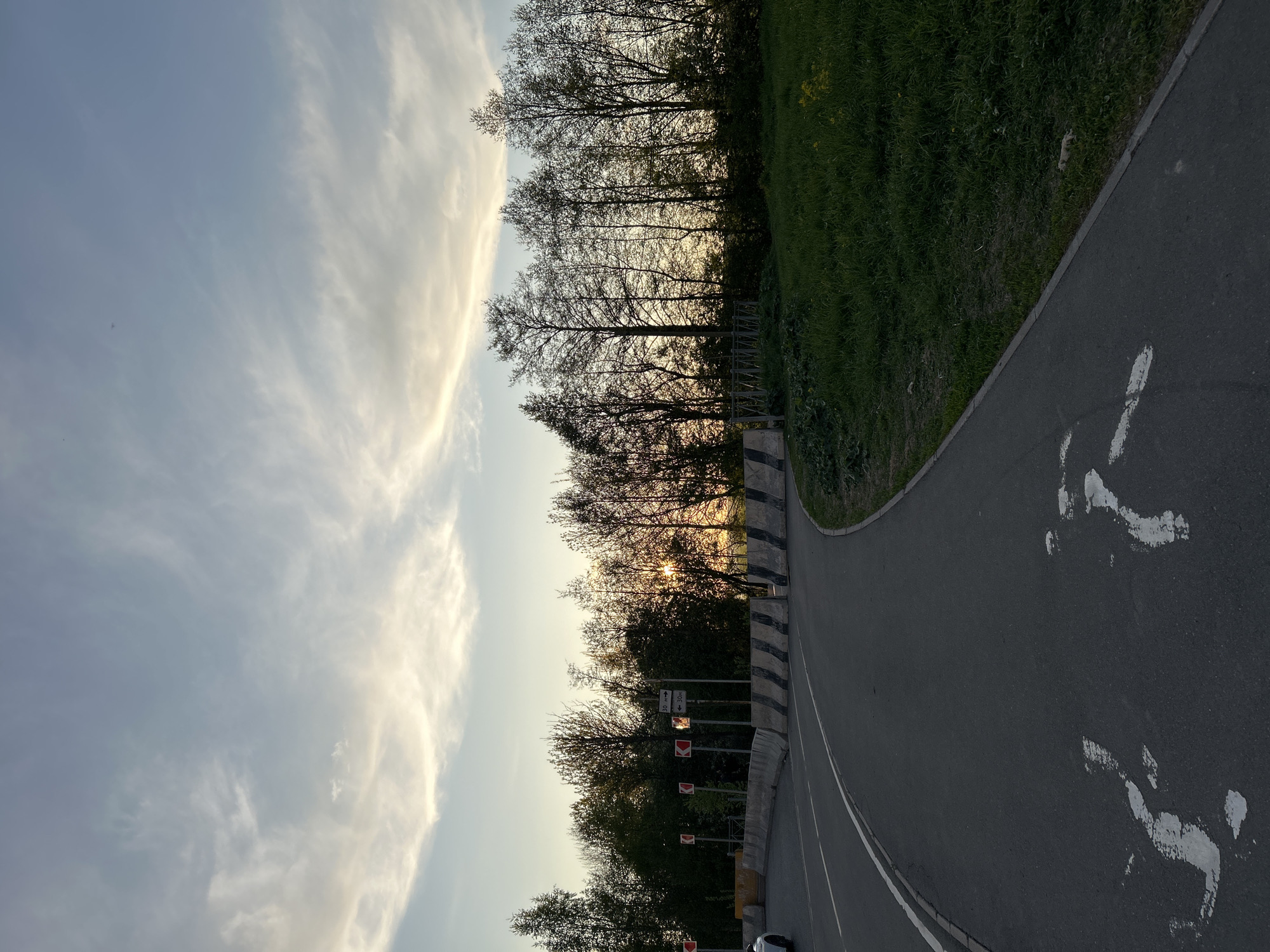 The image depicts a road in Saint Petersburg, Russia, with a sky filled with wispy clouds to the left. The road curves to the right, bordered by green grass and trees. Along the road's edge are striped concrete barriers and road signs. White bicycle symbols are painted on the road surface. The sun appears to be setting or rising, casting light through the trees.